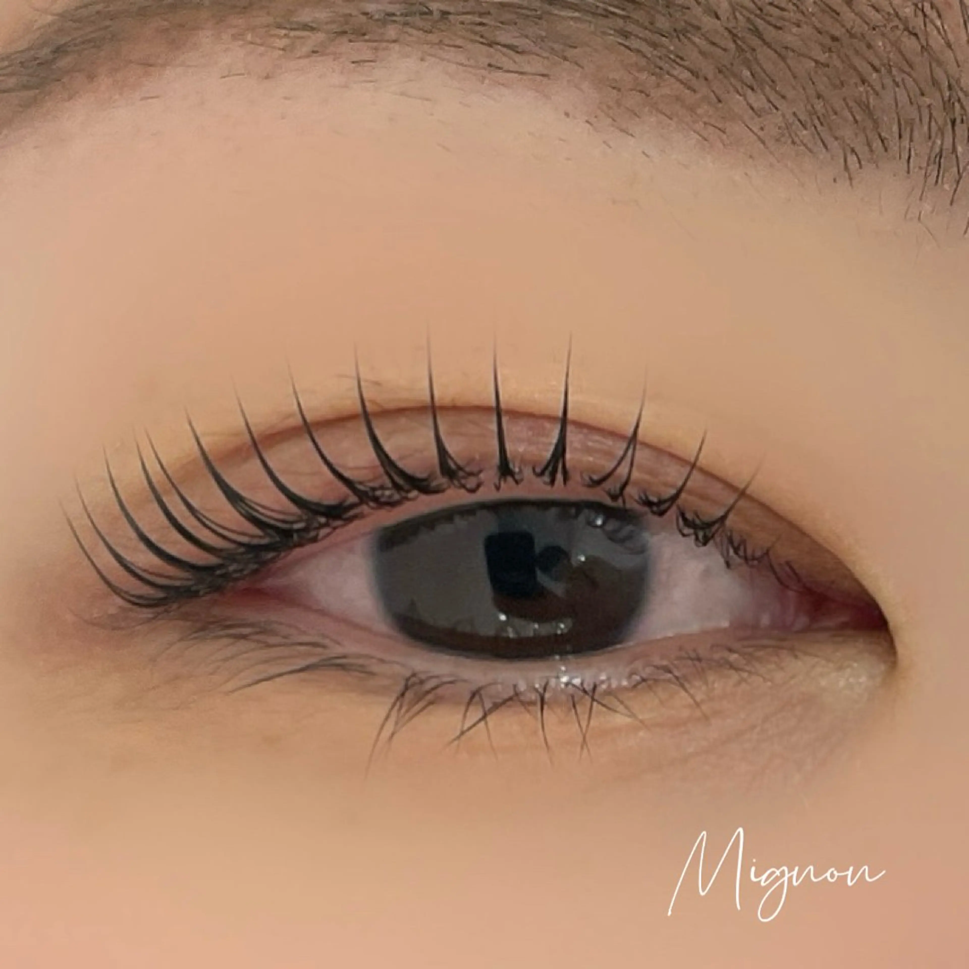 パリジェンヌラッシュリフト💎✨【コーティング付き】の写真