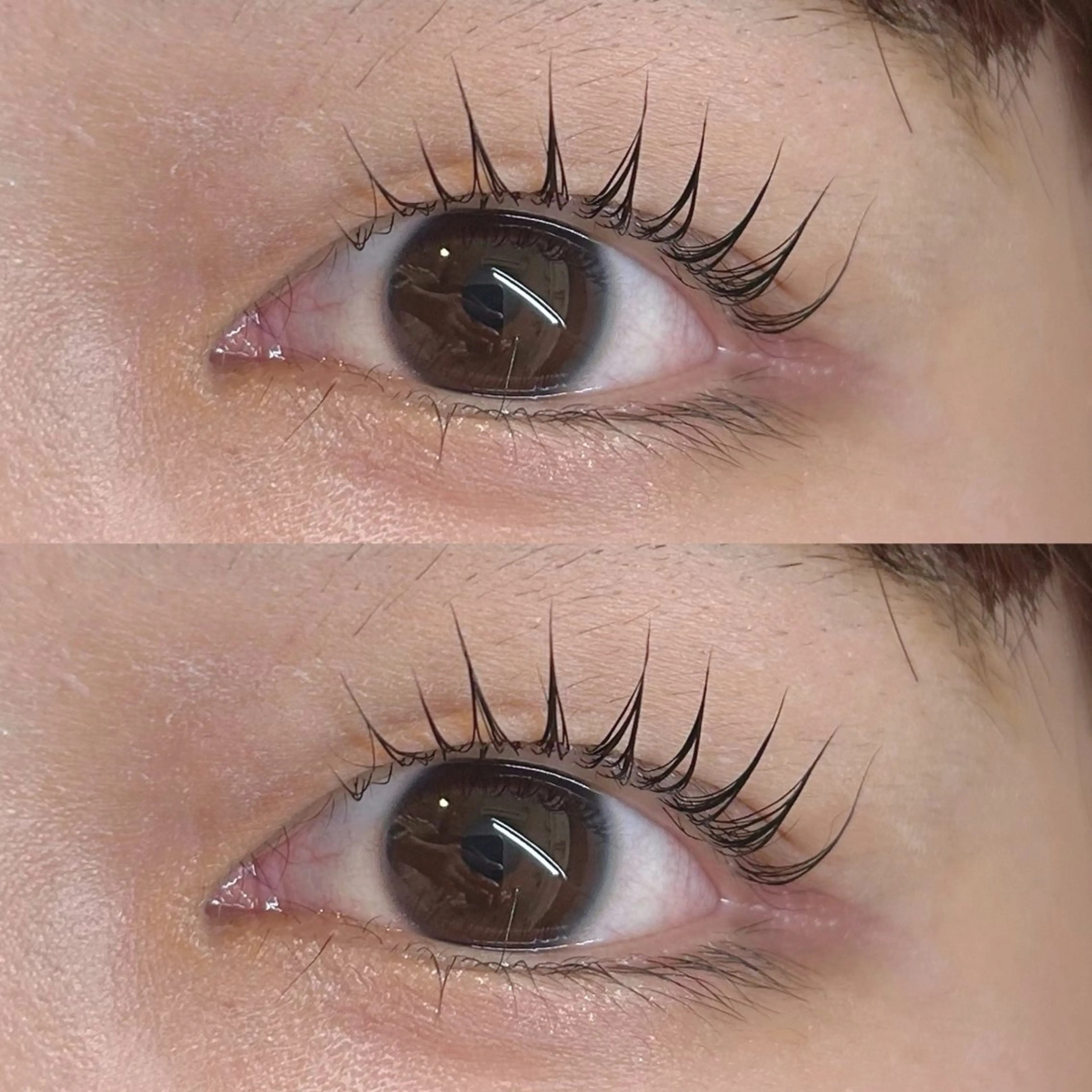 マツエク・マツパ マツパ Rise 🎀のマツエク・マツパデザイン