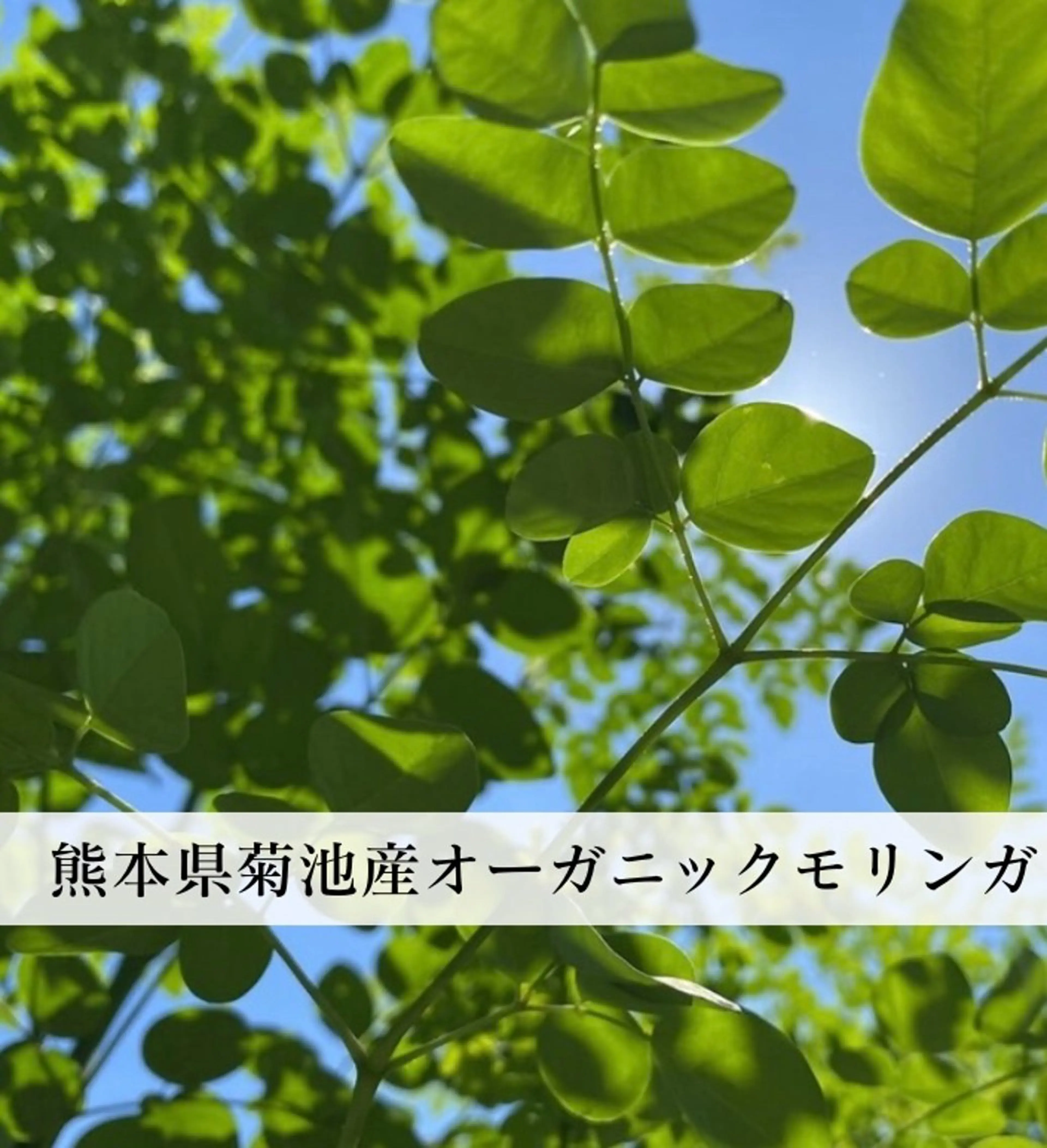 リラク NaNairo サロンFukuoka所属・NaNairoサロン Fukuokaのエステ・リラクイメージ