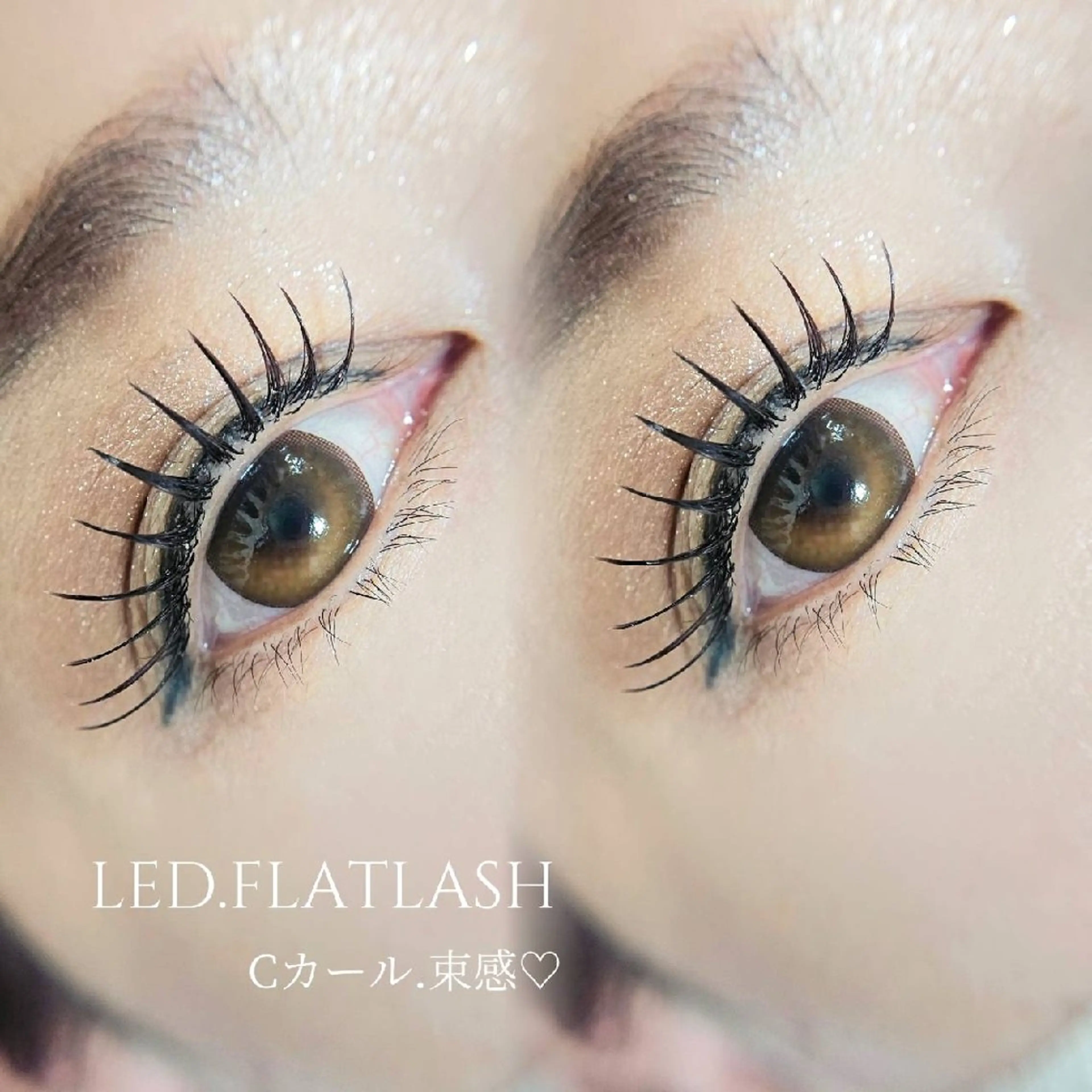 マツエク・マツパ 付け放題 フラットラッシュ Cia U. eyelashのマツエク・マツパデザイン
