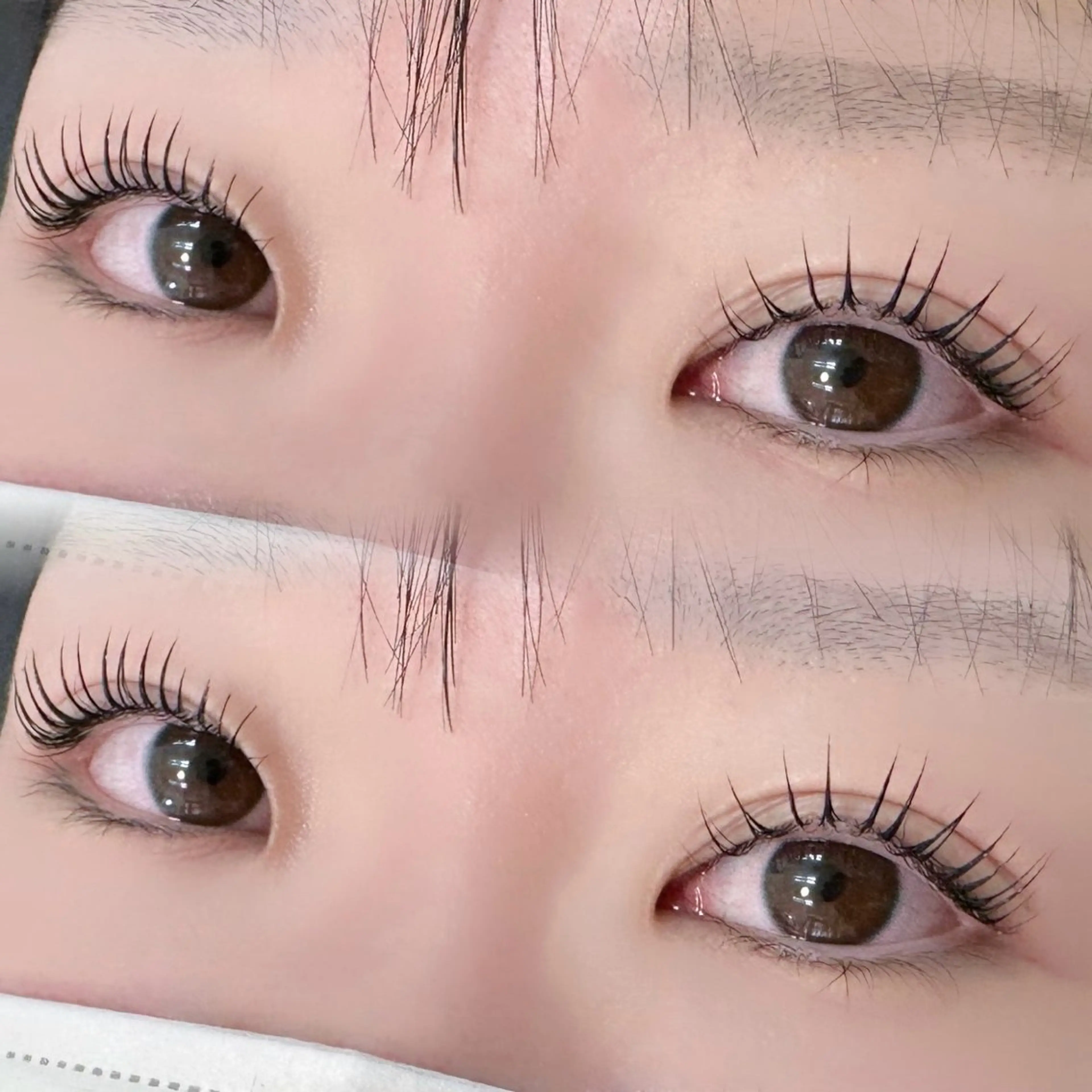 【アイシャンプー付き💖】パリジェンヌラッシュリフト+美容液コーティング🐈‍⬛の写真