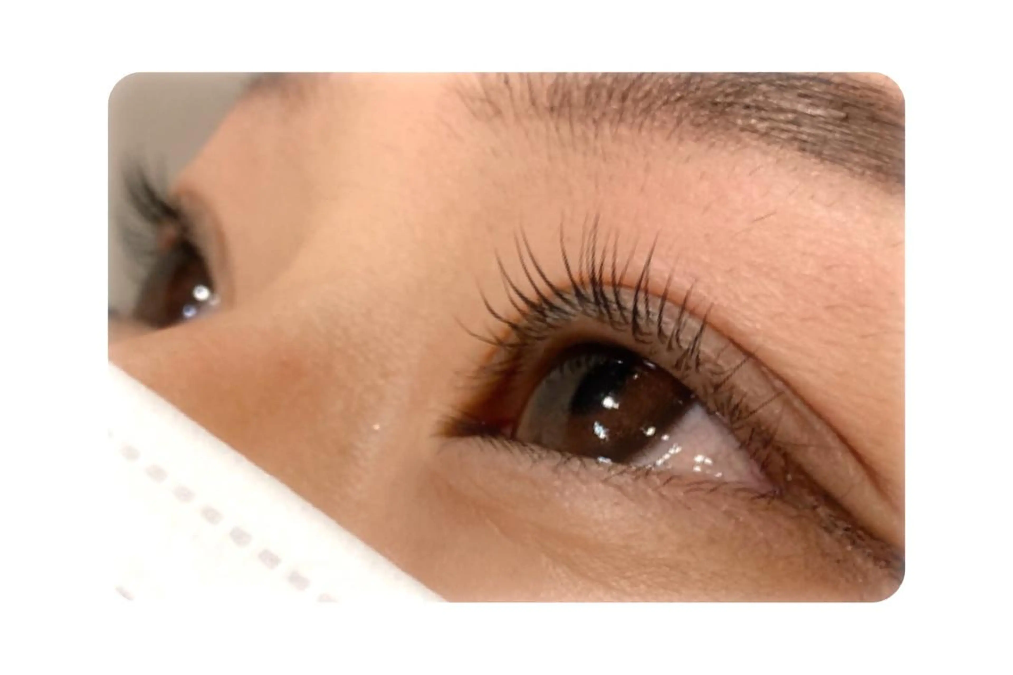 マツエク・マツパ Gluttony/ ｸﾞﾗﾄﾆｰ＊ユキのマツエク・マツパデザイン