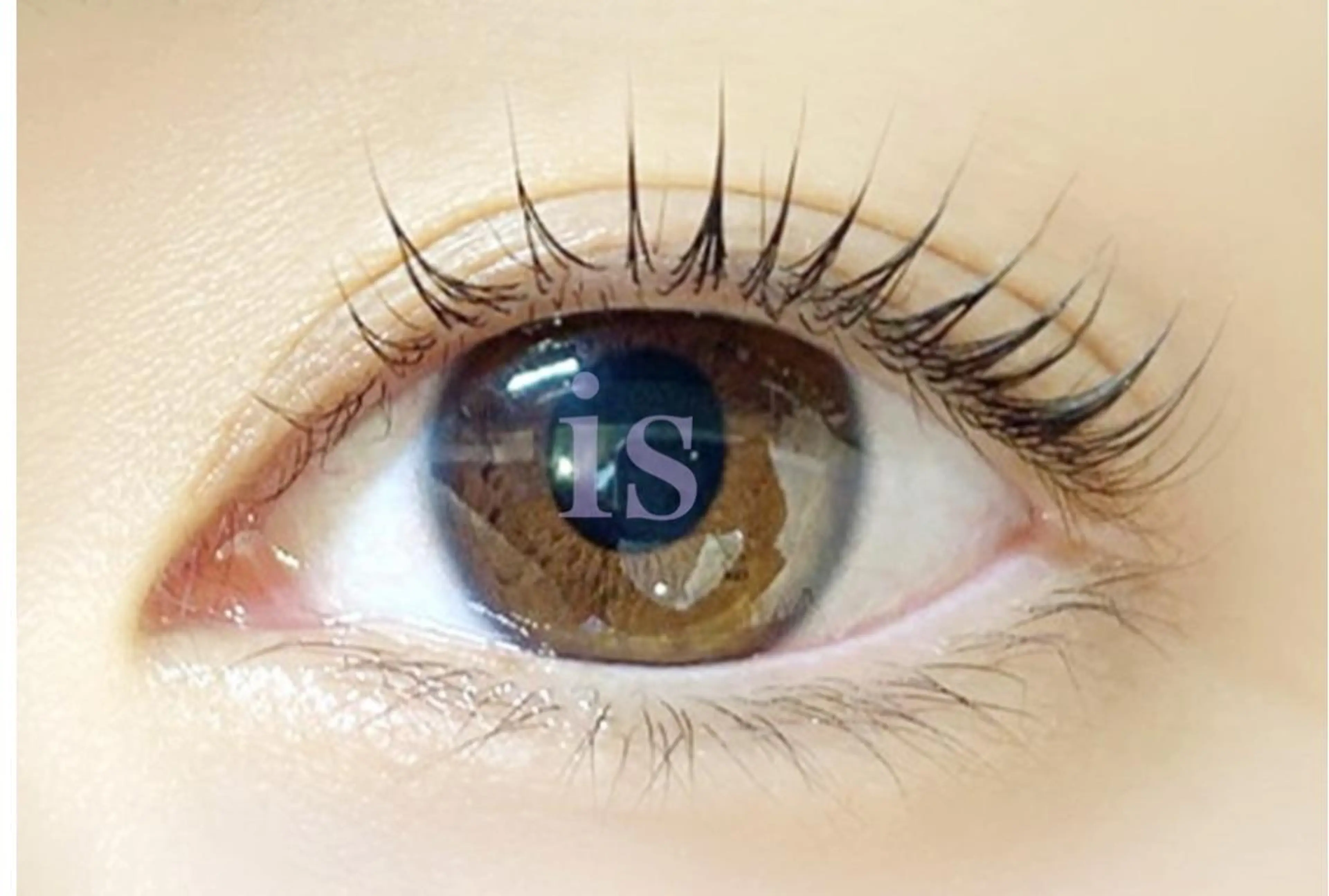 マツエク・マツパ マツパ ＆ meのマツエク・マツパデザイン