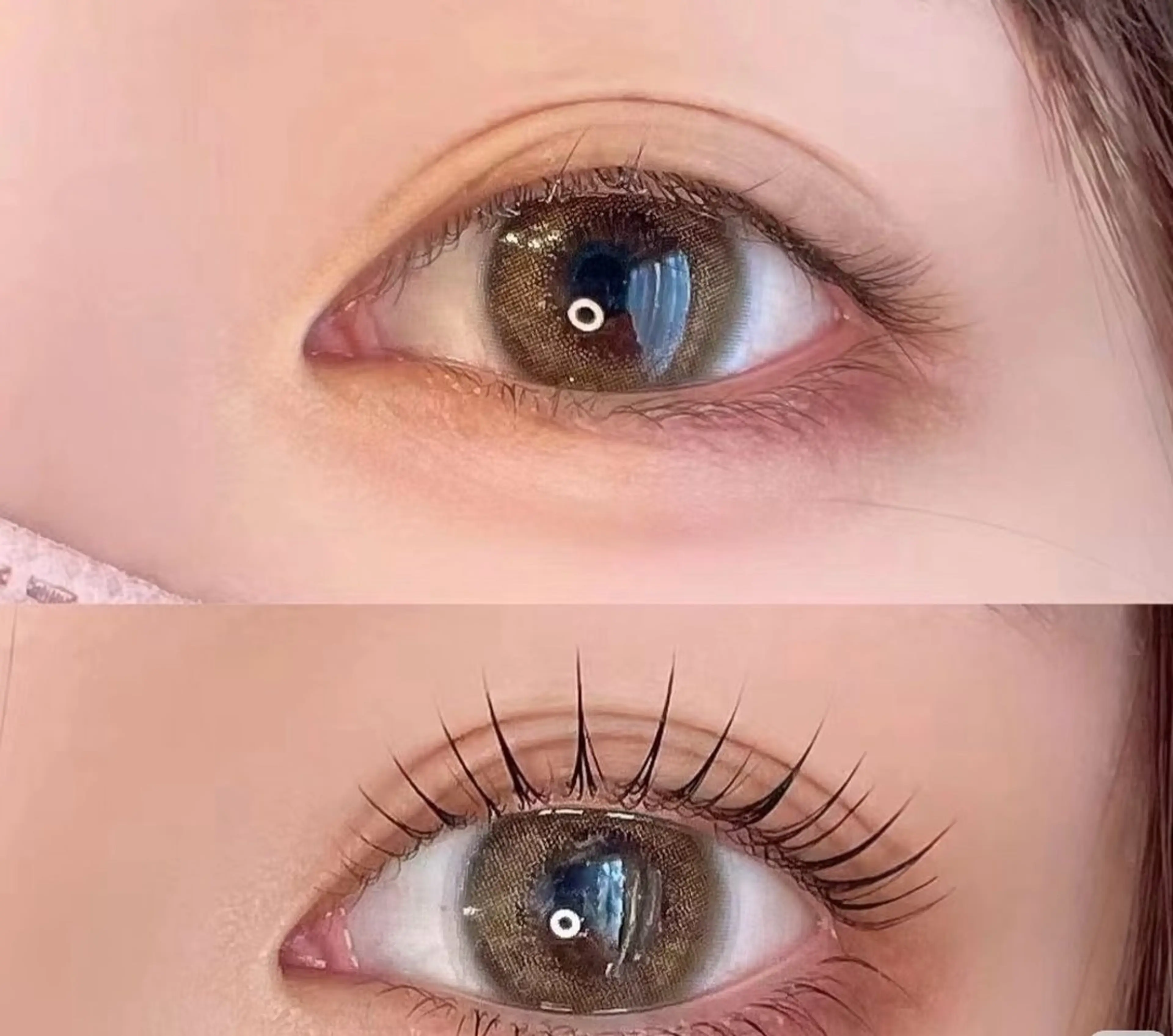 🎀🫧まつげパーマ🫧期間限定❤️の写真