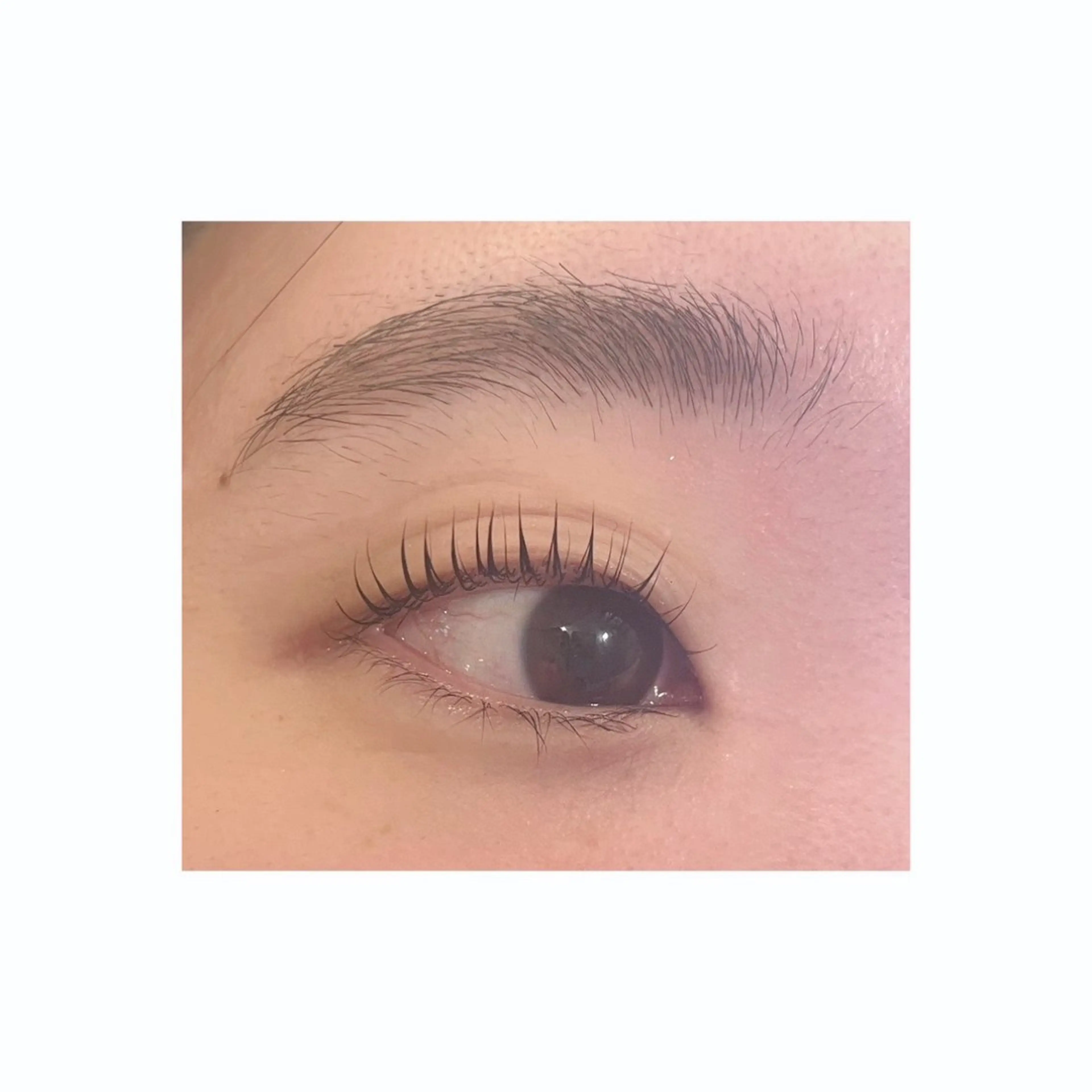 マツエク・マツパ マツパ THREE所属・THREE🌿🪞 ririkaのマツエク・マツパデザイン