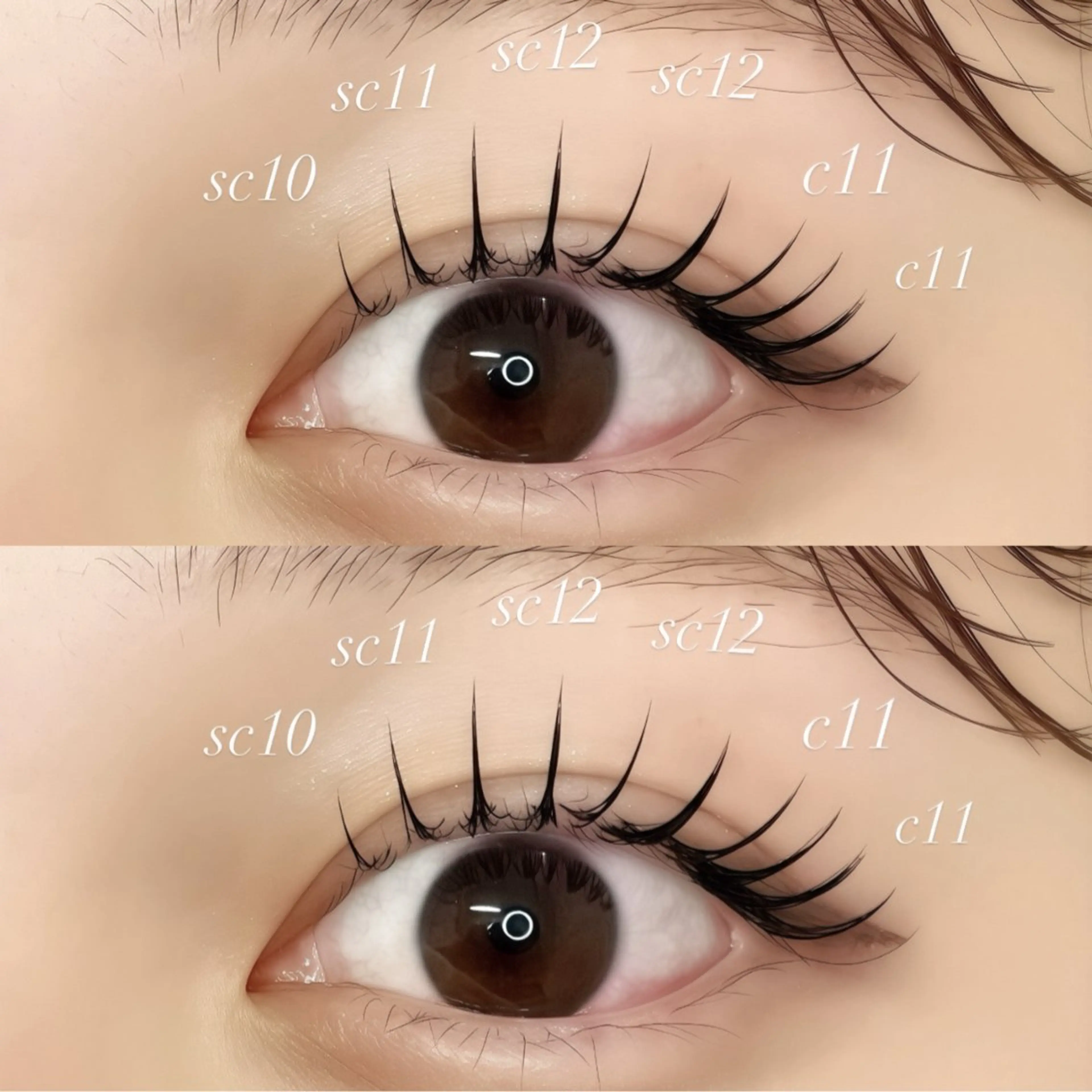 【フラットラッシュ】100本の写真