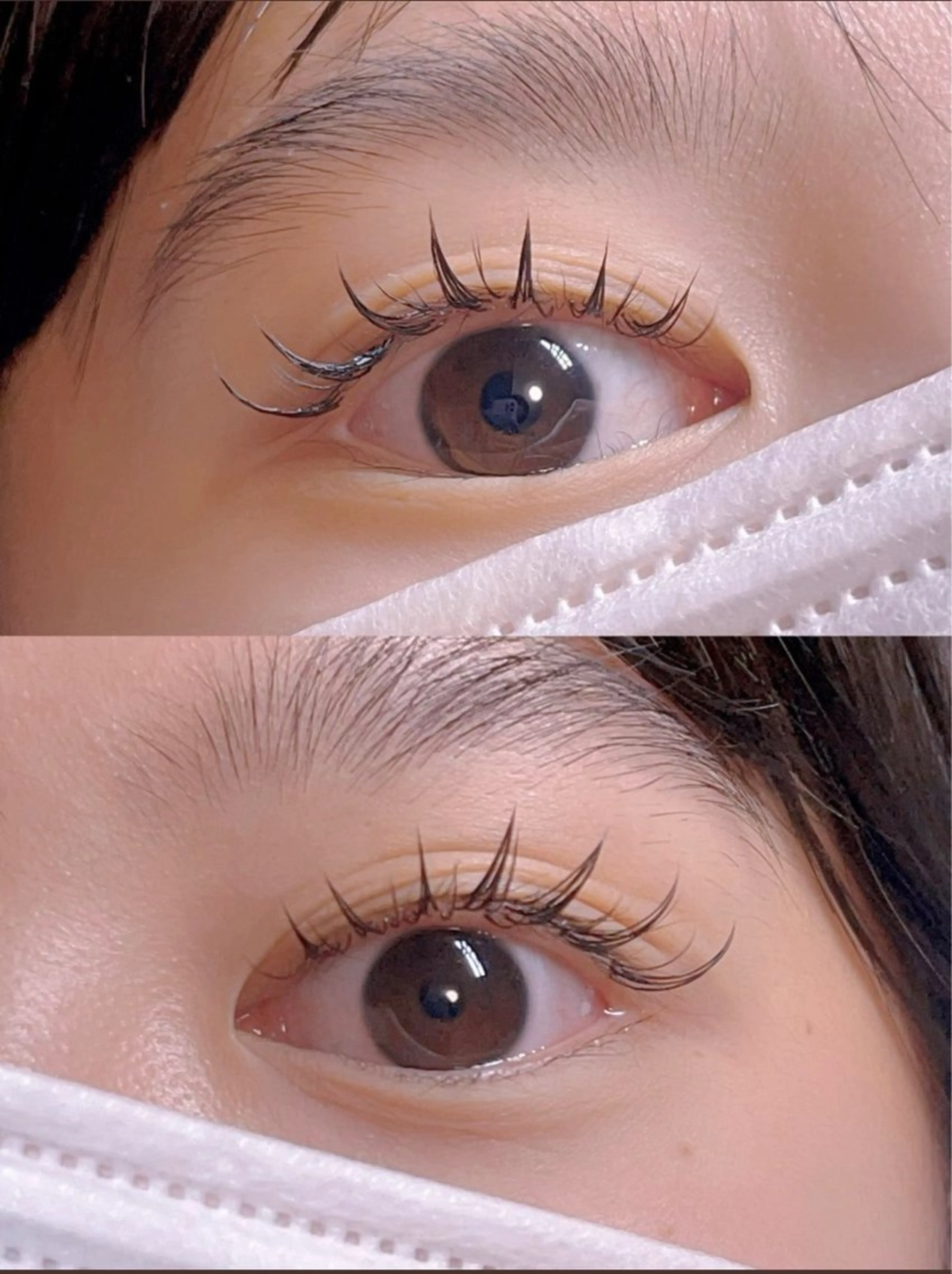 🎃お試し🎃【オフなし】フラットマットラッシュ60本🎃の写真