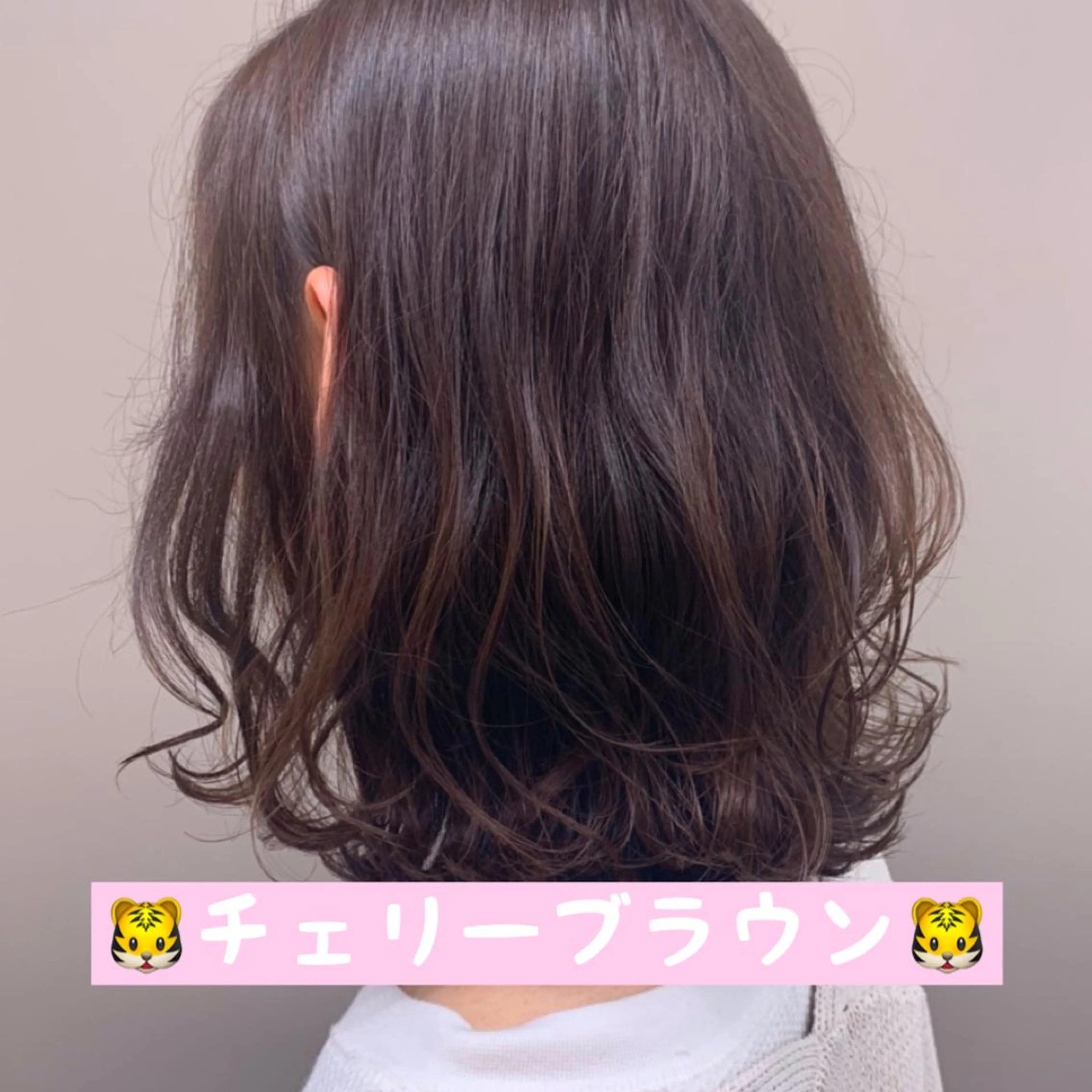 ミディアム カラー M.O.D渋谷所属・🫧渋谷美容師 たくみ🫧のヘアスタイル