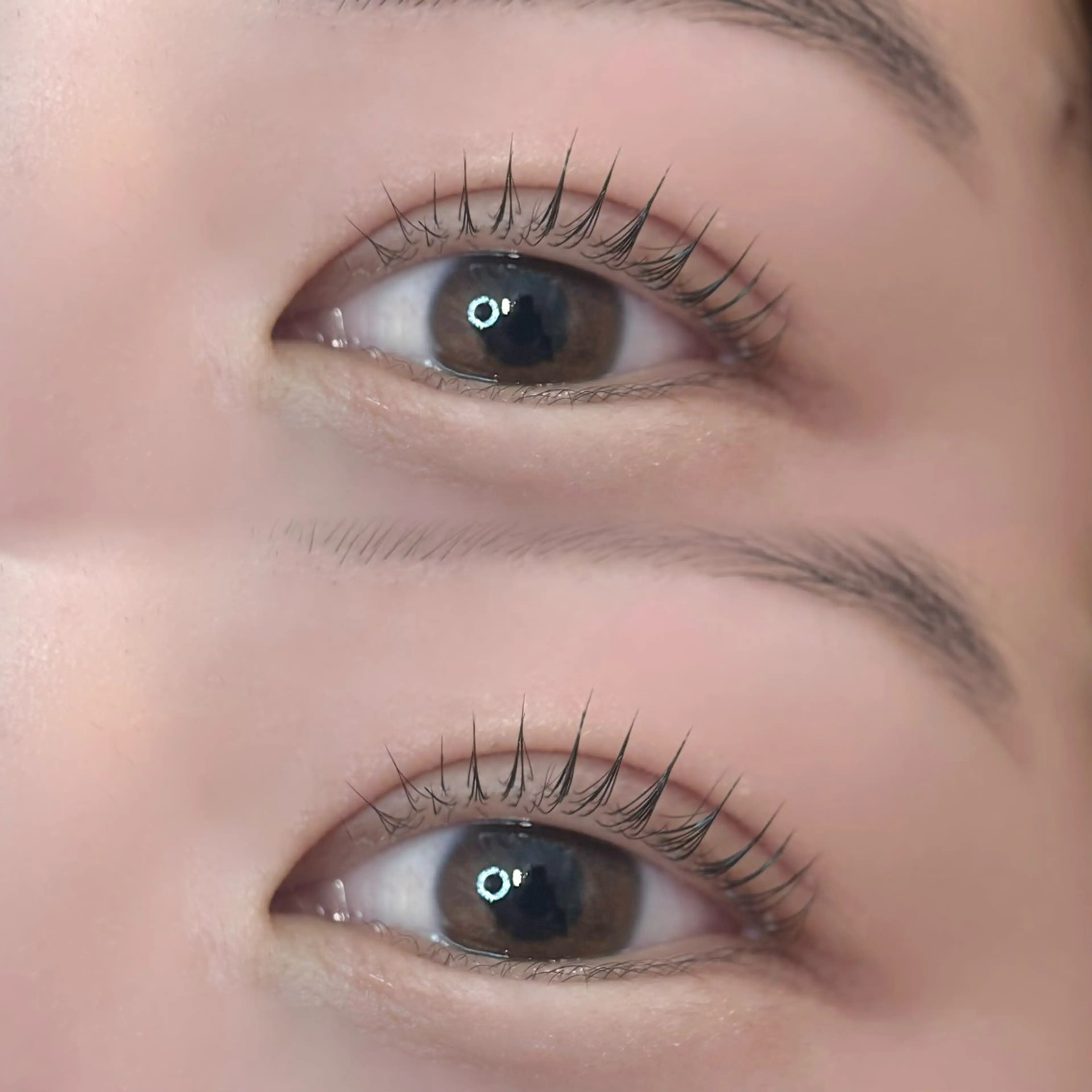 マツエク・マツパ 束感まつ毛 パリジェンヌラッシュリフト まつげパーマ マツパ fein.Ruka ♡垢抜け美眉のマツエク・マツパデザイン