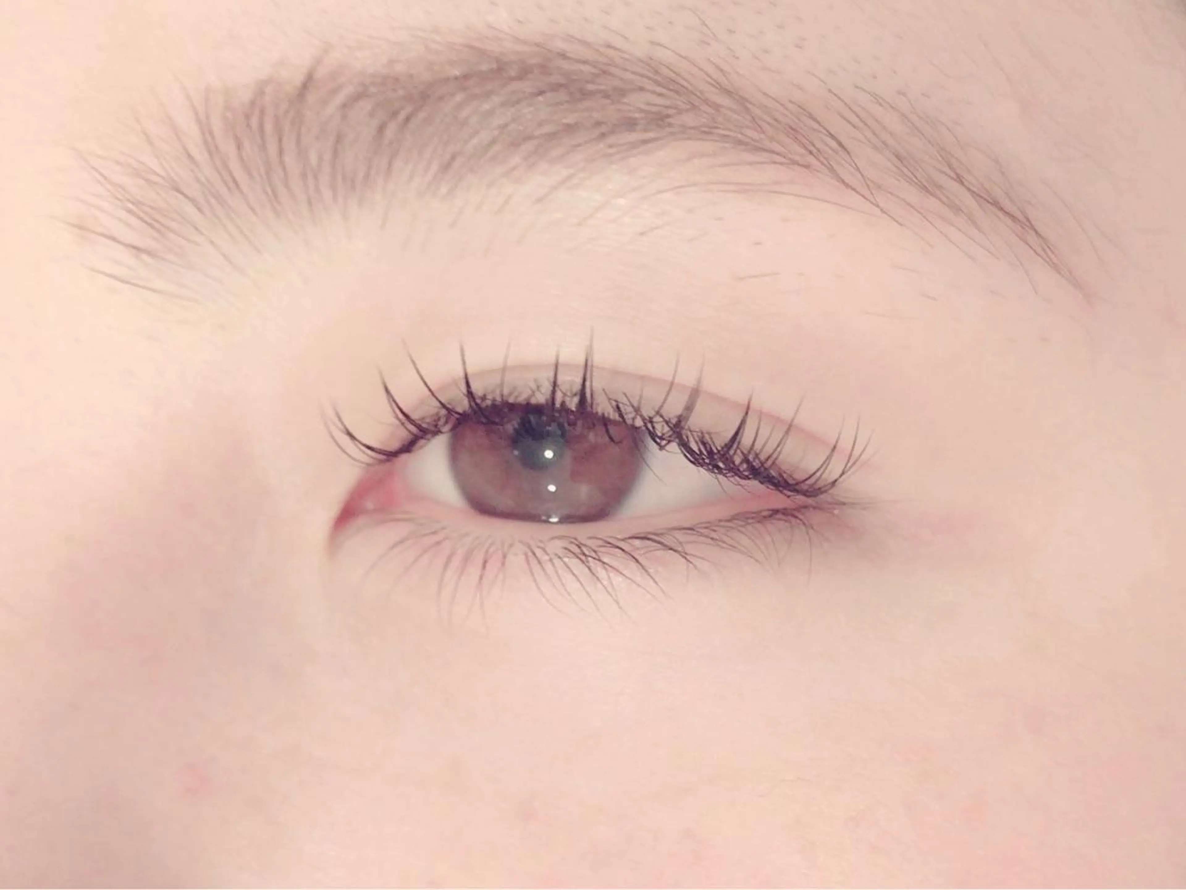 マツエク・マツパ Cカール フラットラッシュ ルクール東三条店 玉井 愛紡のマツエク・マツパデザイン