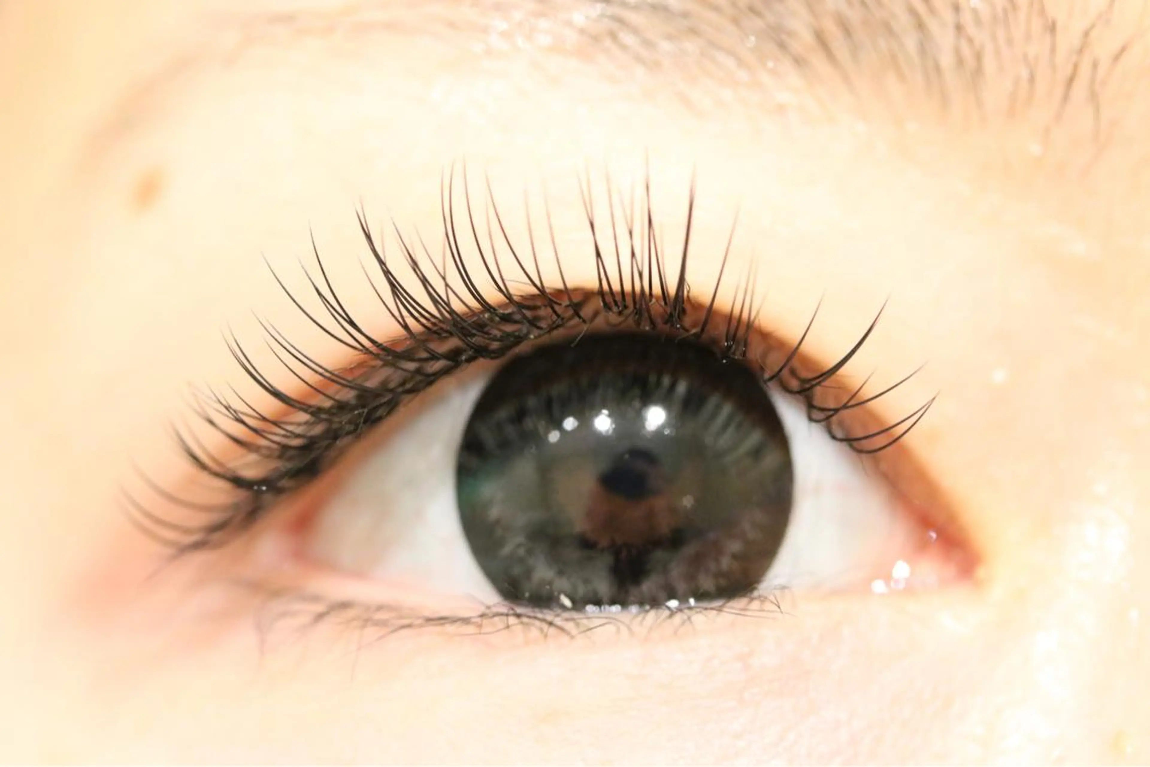 フラットラッシュ120本(オフ可)の写真