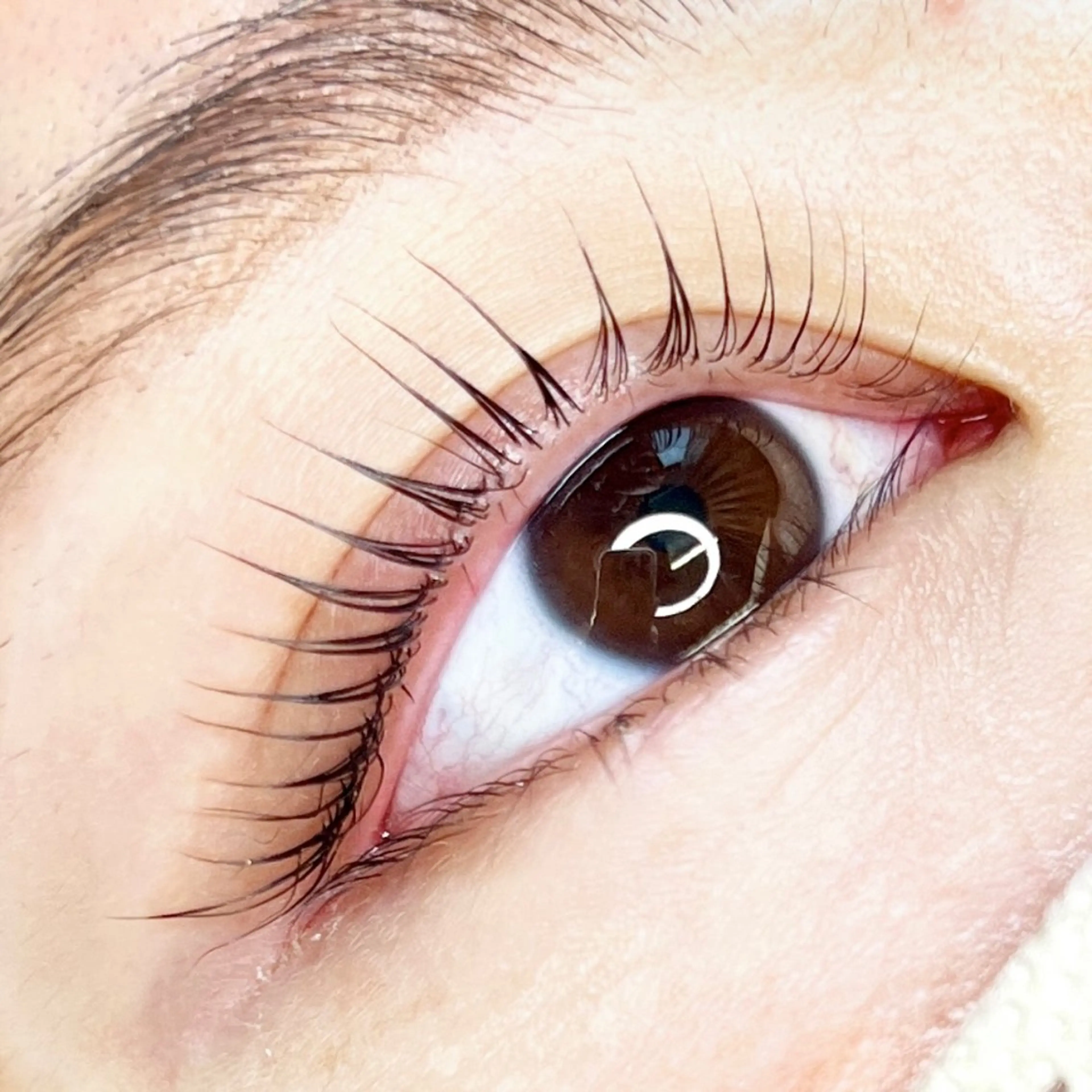 [当日予約限定メニュー❕✨]デザイン豊富なラッシュリフト✨トリートメントケア.束感コーティングのサービス付き♡の写真