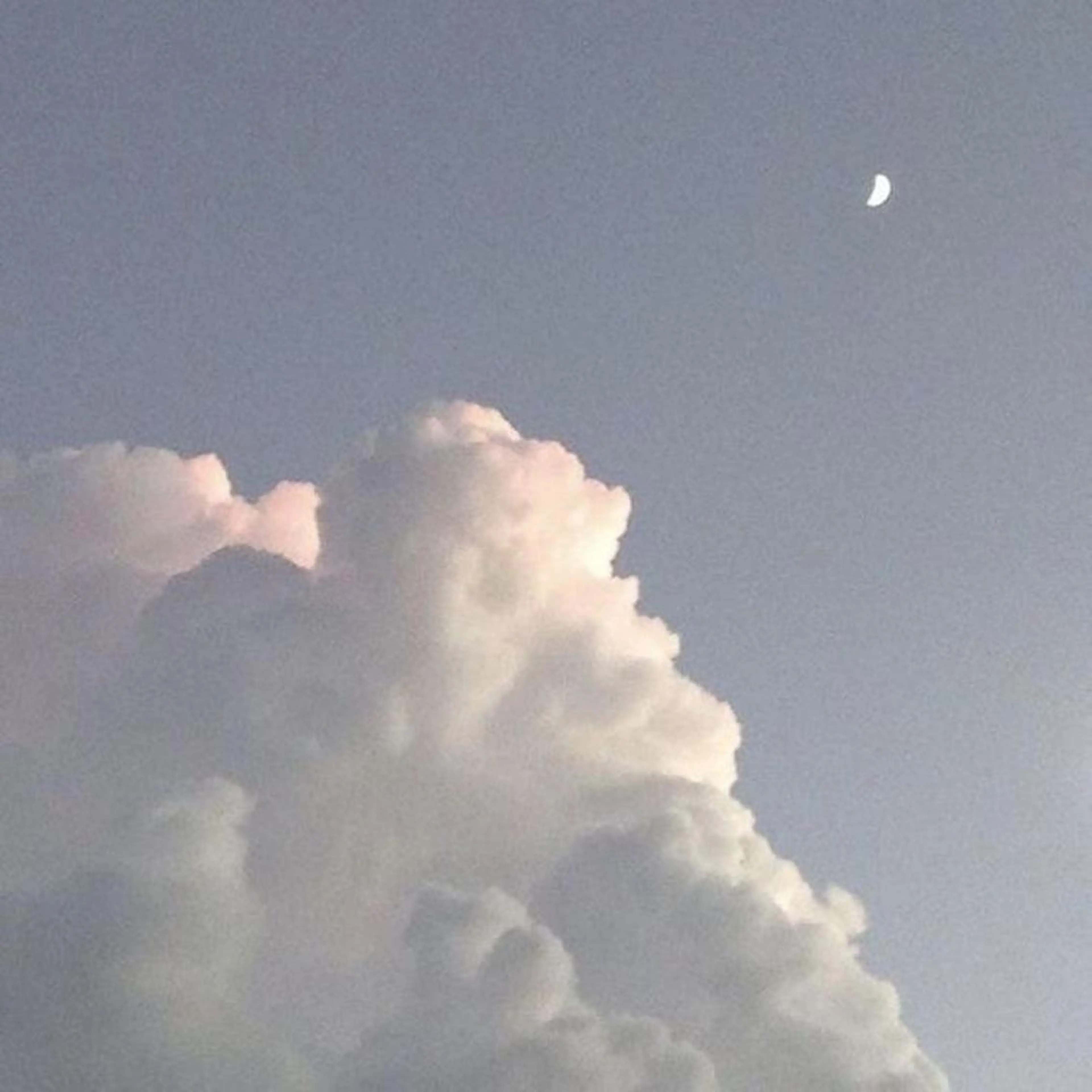 ∴Sanae. ∴ トータルビューティーのネイルデザイン