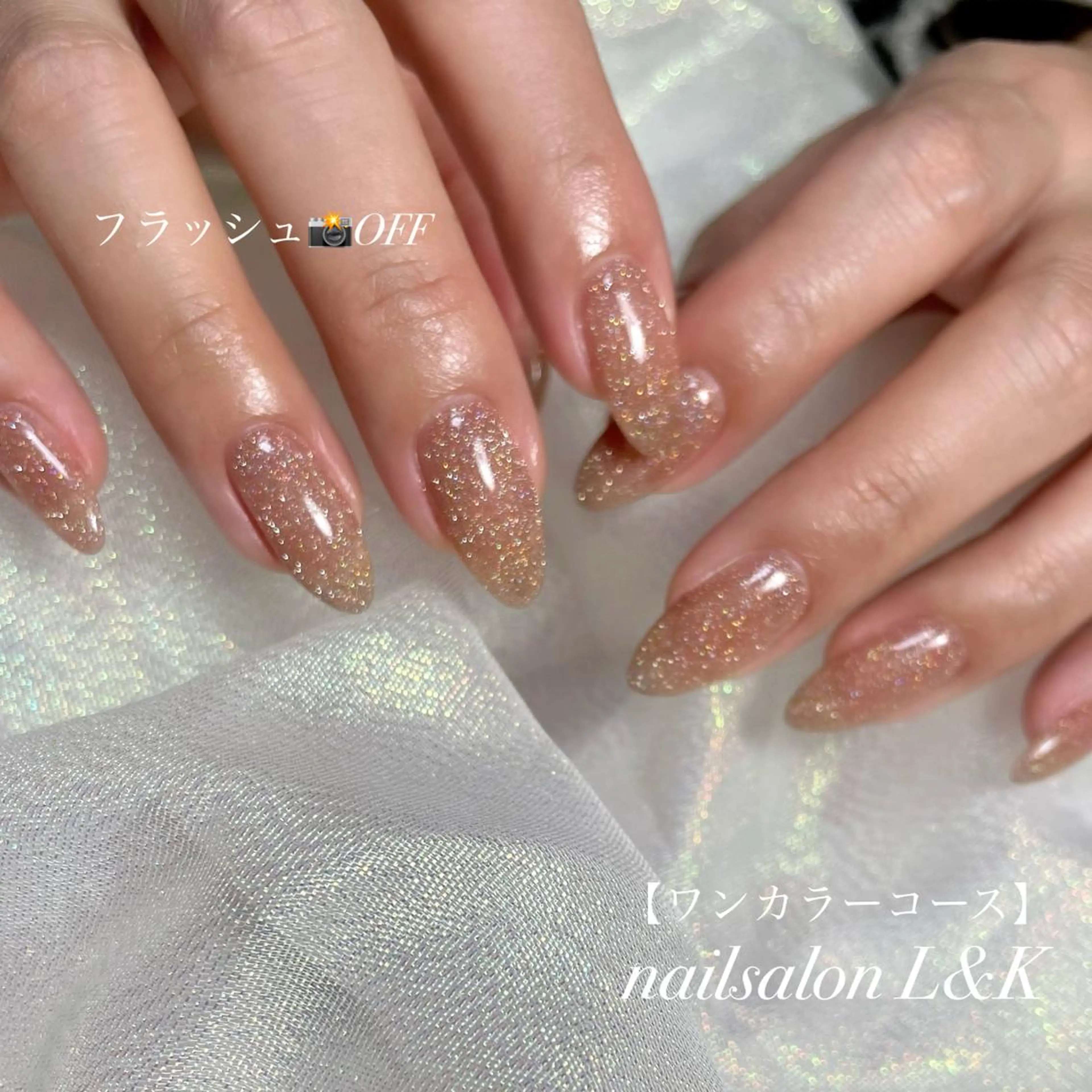 ネイル フラッシュネイル ワンカラーネイル ハンドネイル nailsalon L&Kのネイルデザイン