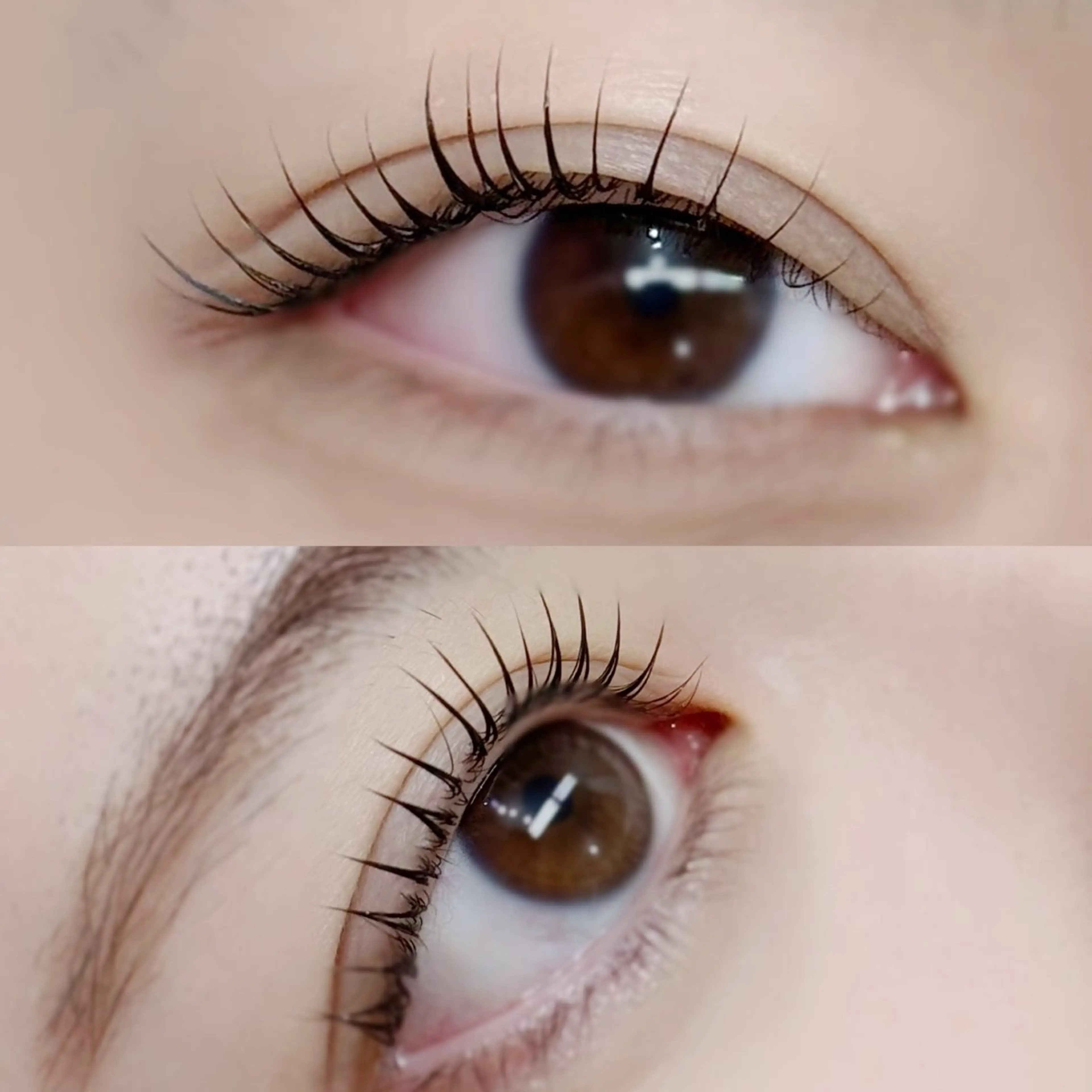 マツエク・マツパ crevia所属・Crevia Chieのマツエク・マツパデザイン