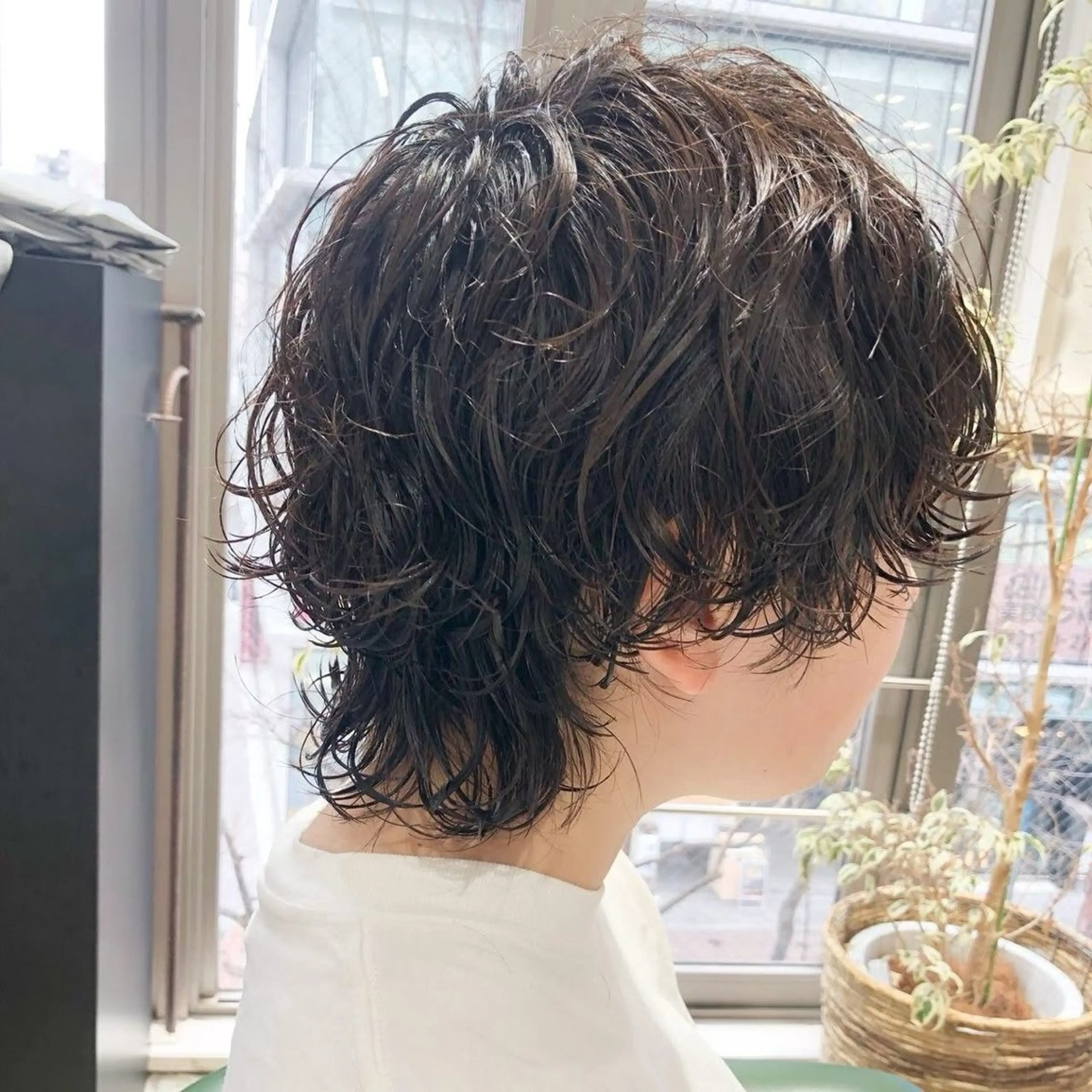 [ショート/ショートウルフ]カット&パーマの写真