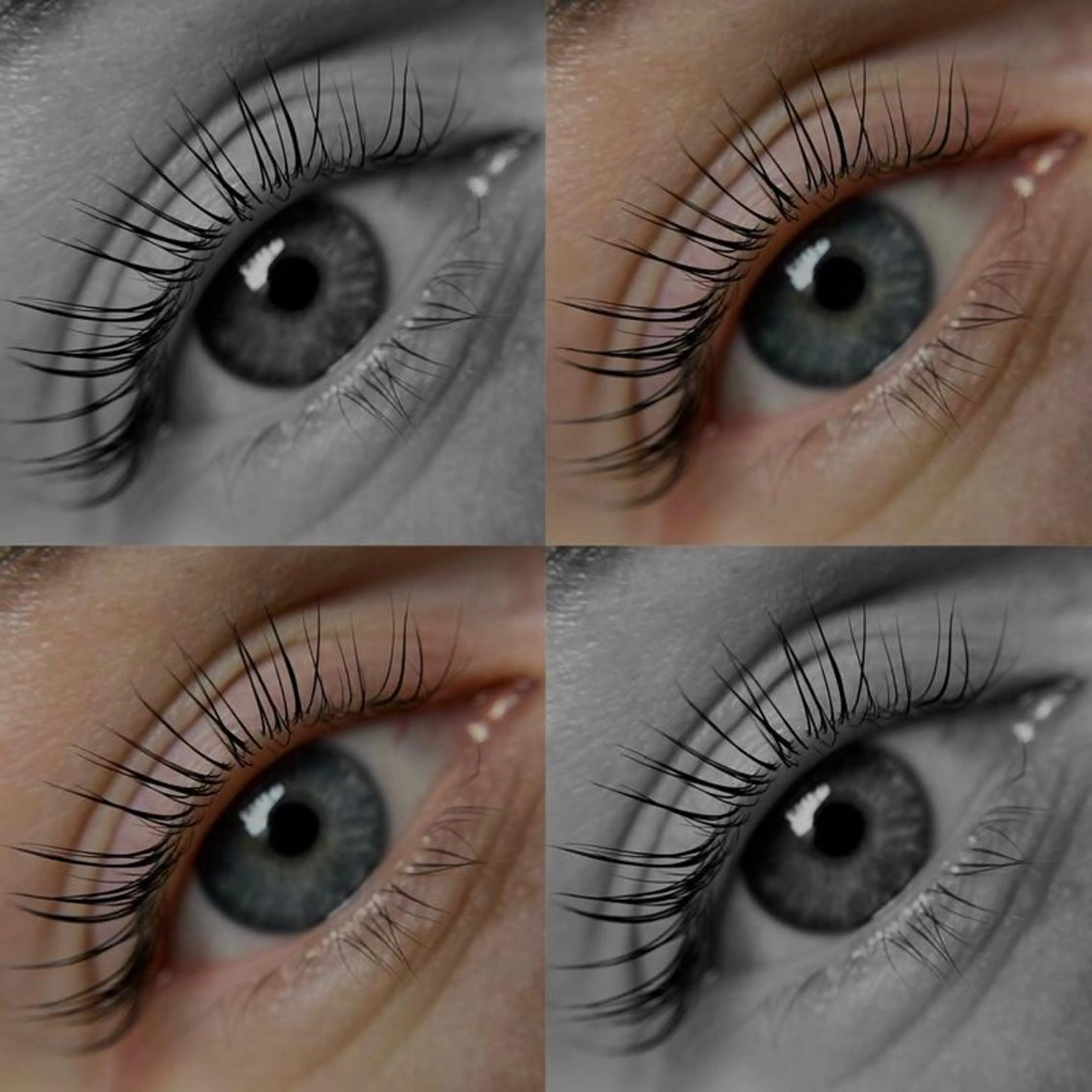 《eyeメニュー❕人気No1❕》〈大人気❕❕〉ダメージレス次世代パリジェンヌまつ毛パーマ🩶🩶の写真