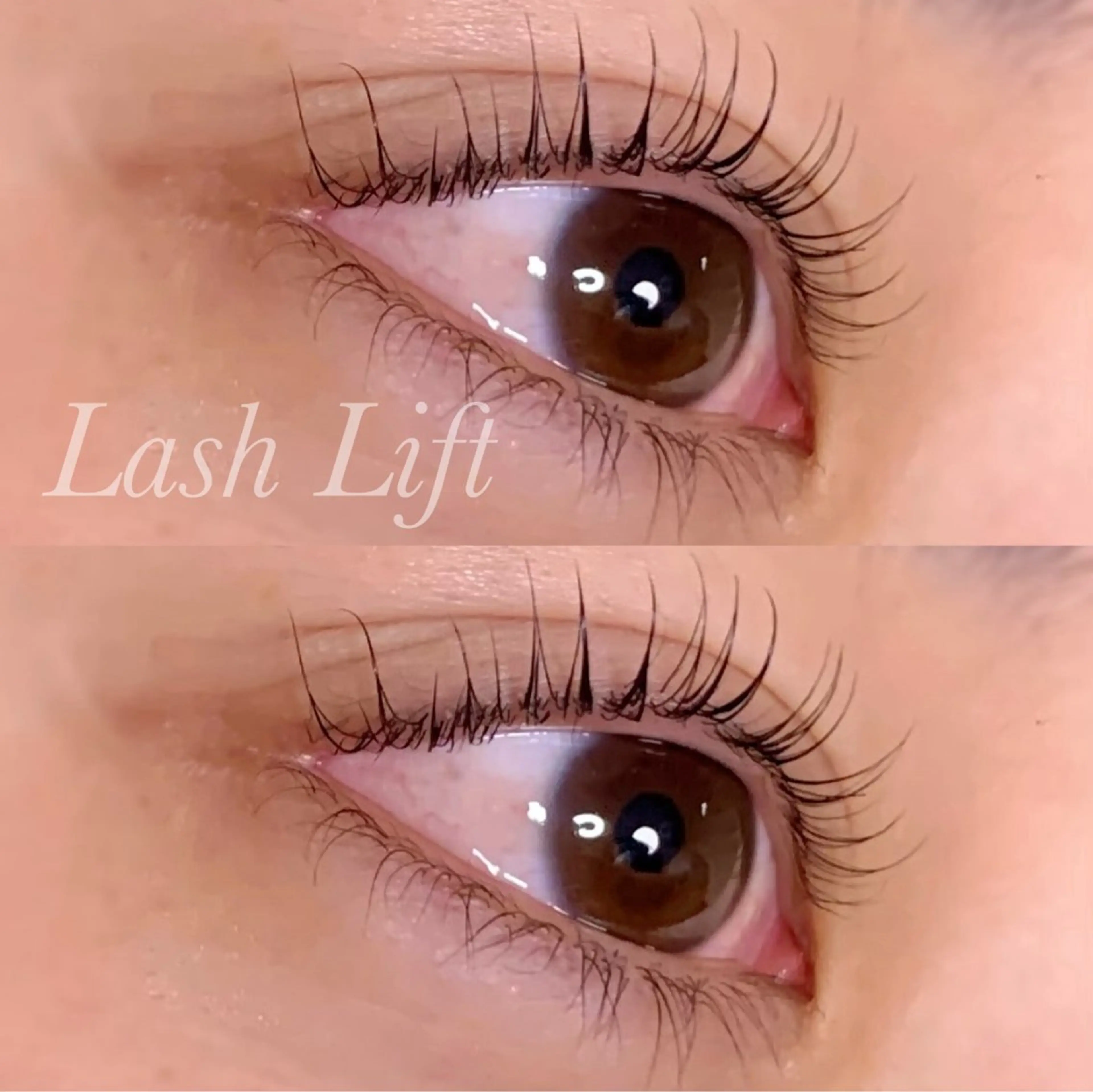 マツエク・マツパ まつげパーマ マツパ Ayumi.pro 🍆N《4階》のマツエク・マツパデザイン