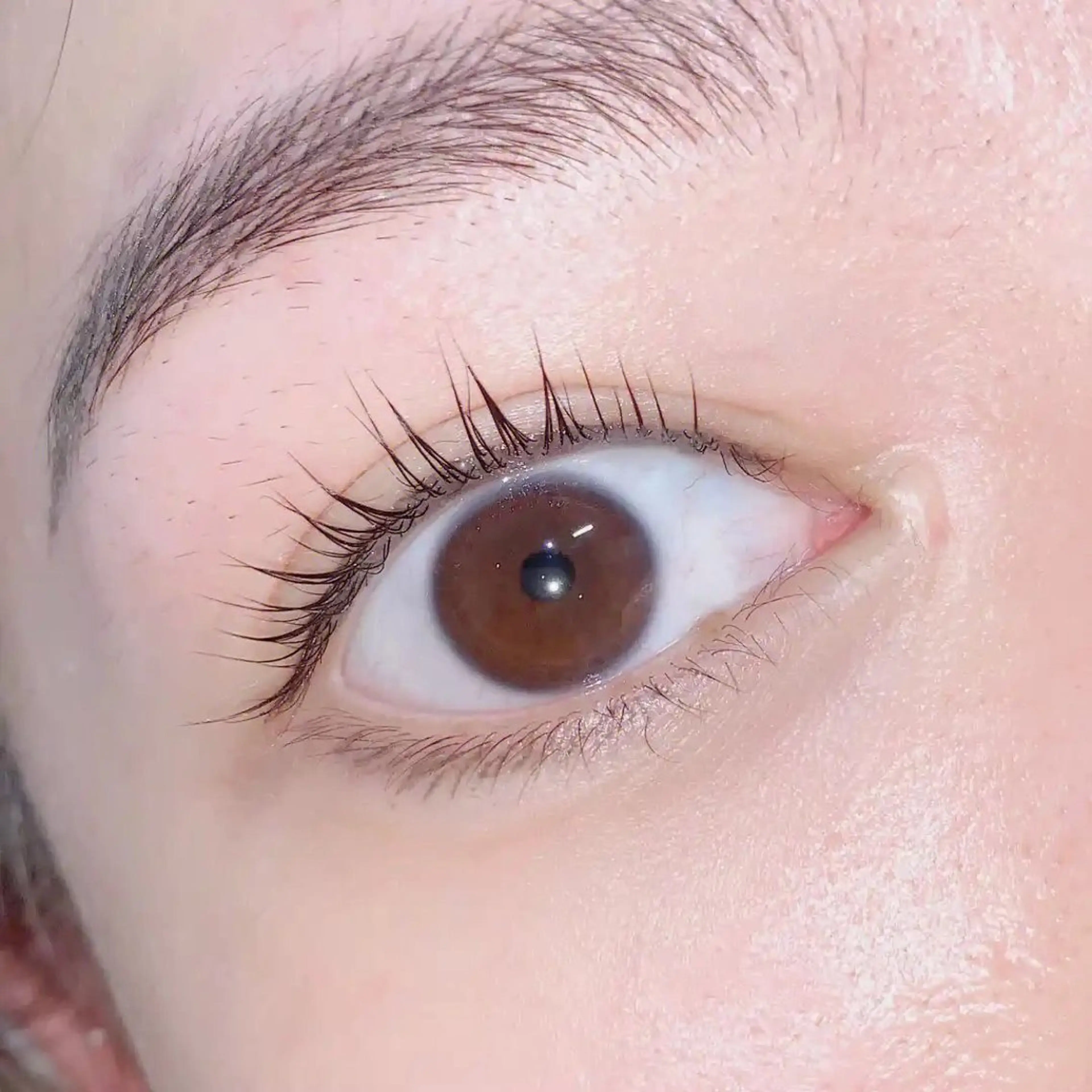 パーマ ミィア テンアイのマツエク・マツパデザイン