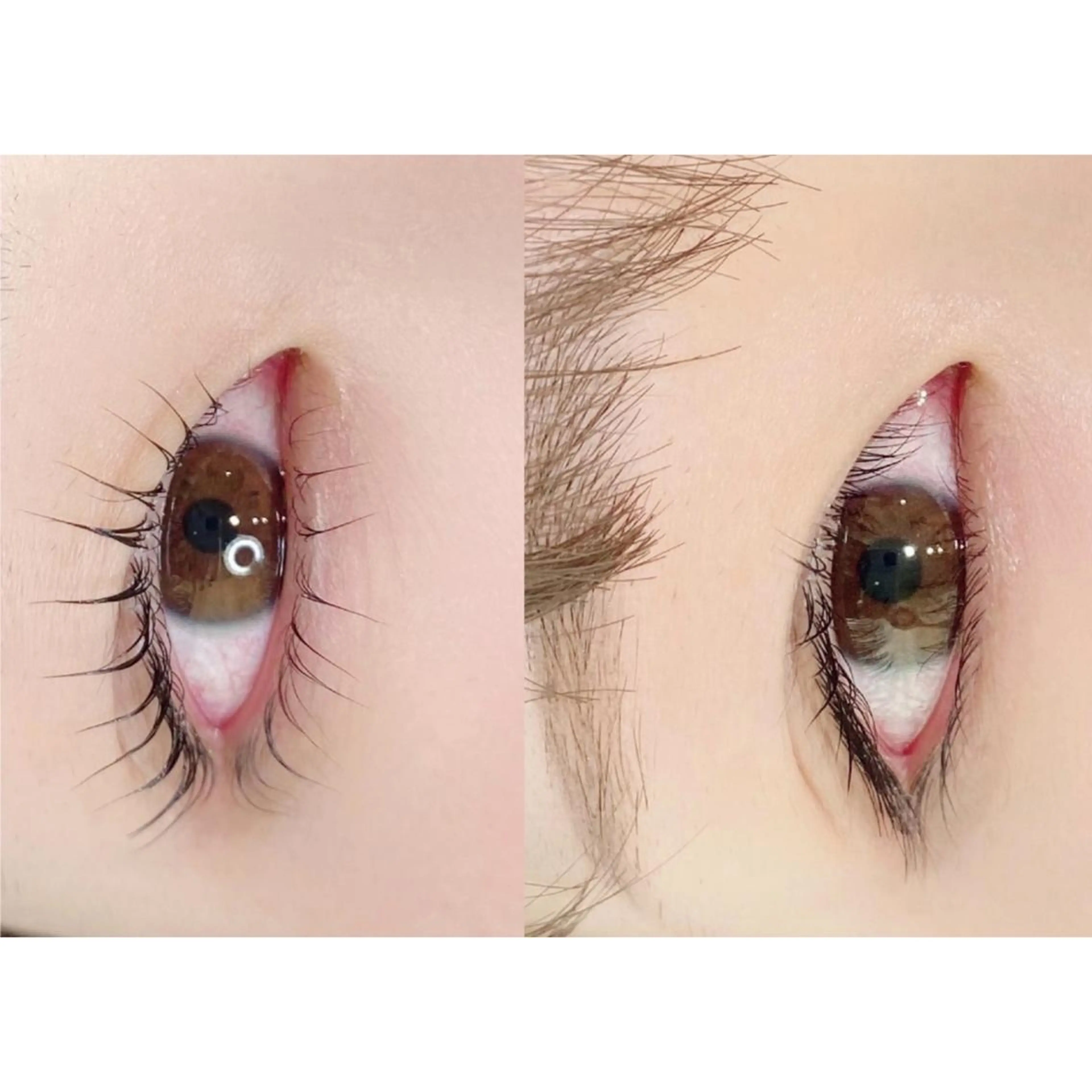 マツエク・マツパ まつげパーマ 下まつげエクステ batik湘南台店所属・batik 湘南台店 reinaのマツエク・マツパデザイン