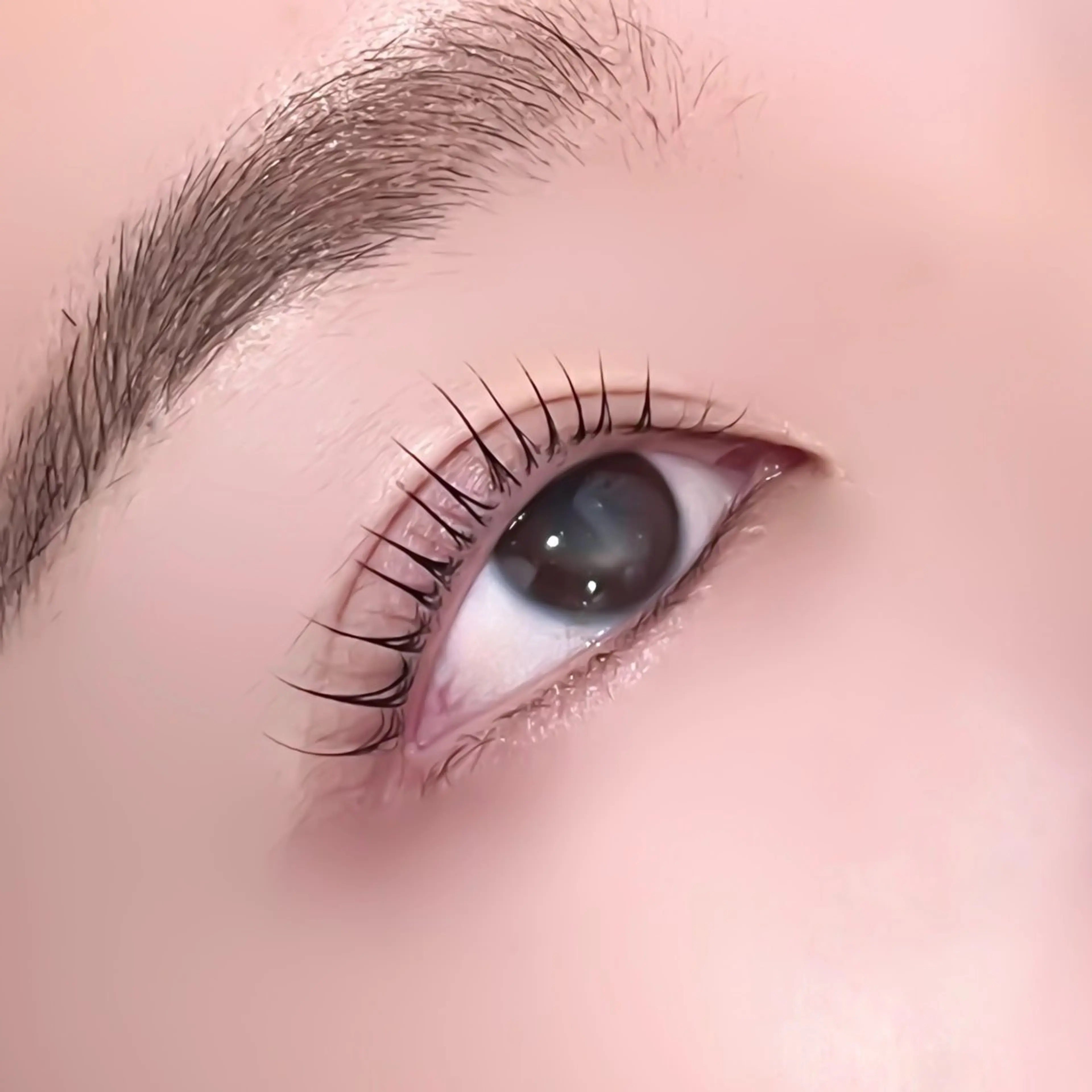 マツエク・マツパ 一重×まつ毛パーマ マツパ Rebecca所属・🌙Rebecca ERINA🐈‍⬛のマツエク・マツパデザイン