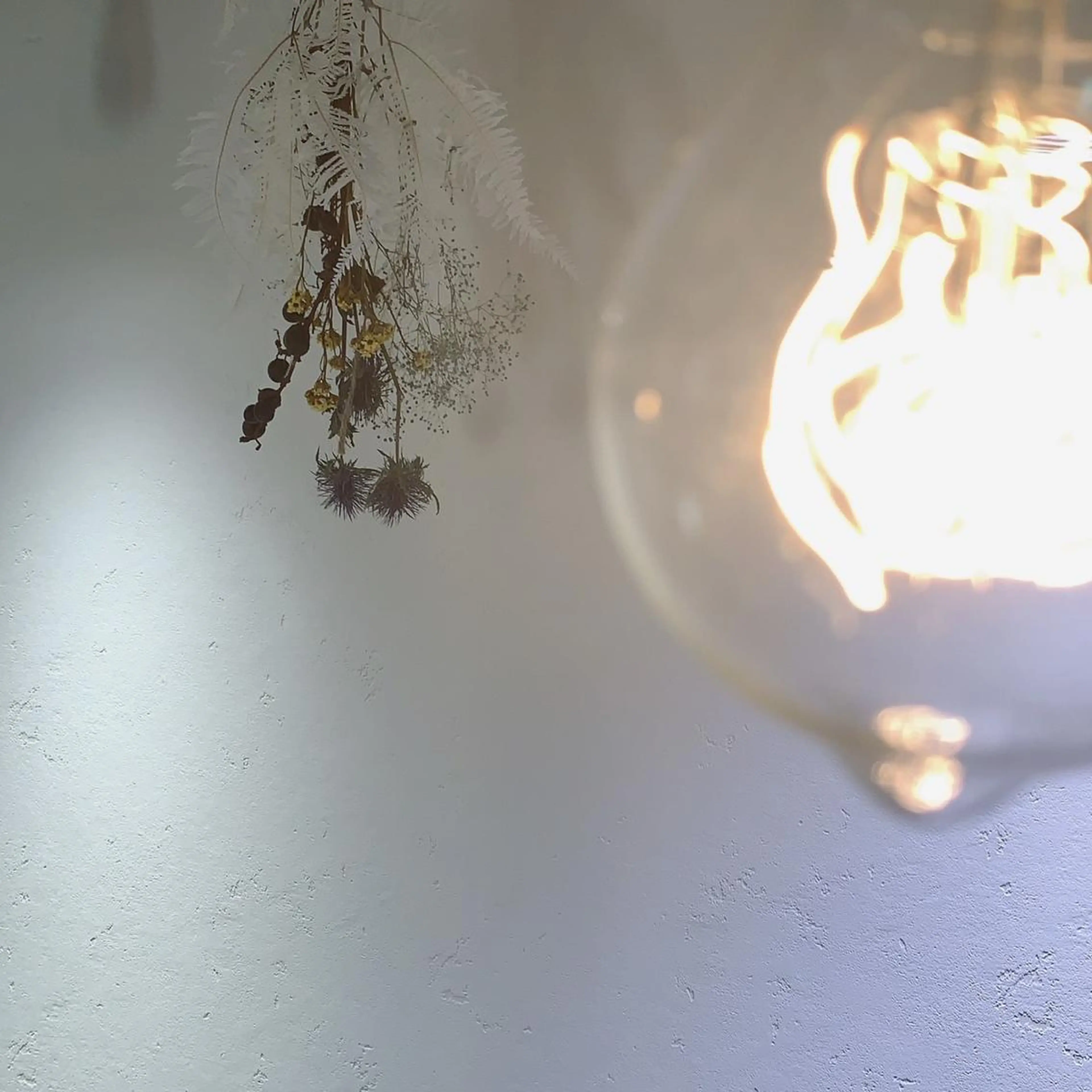 ネイル マツエク・マツパ アイブロウ 𓊆ᶠᵉᵉʸ𓊇 ᶜᴴᴵᴴᴬᴿᵁのマツエク・マツパデザイン