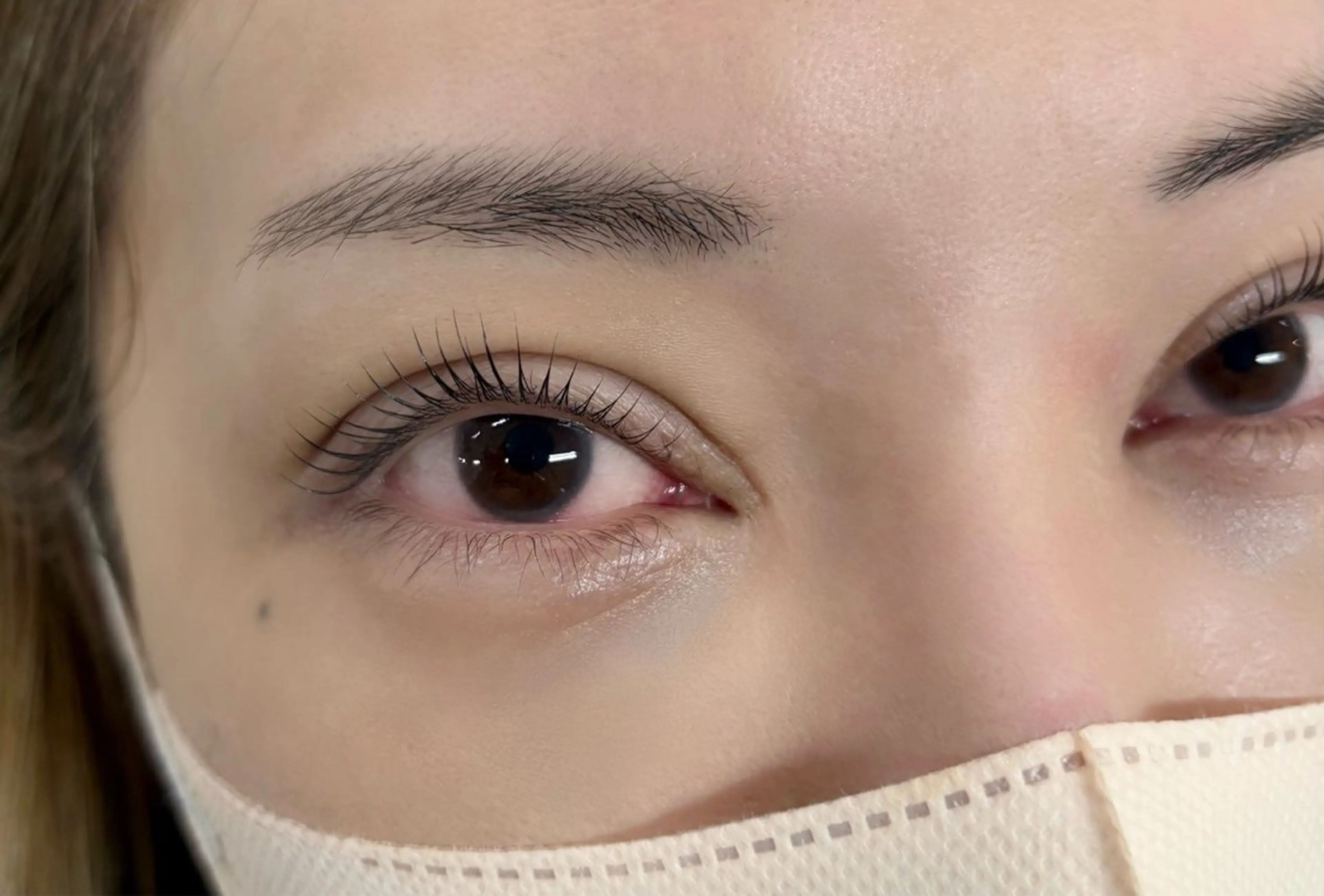 マツエク・マツパ カラーマツエク ナチュラル Blossa所属・あべ みずき🐈‍⬛の眉毛・アイブロウイメージ