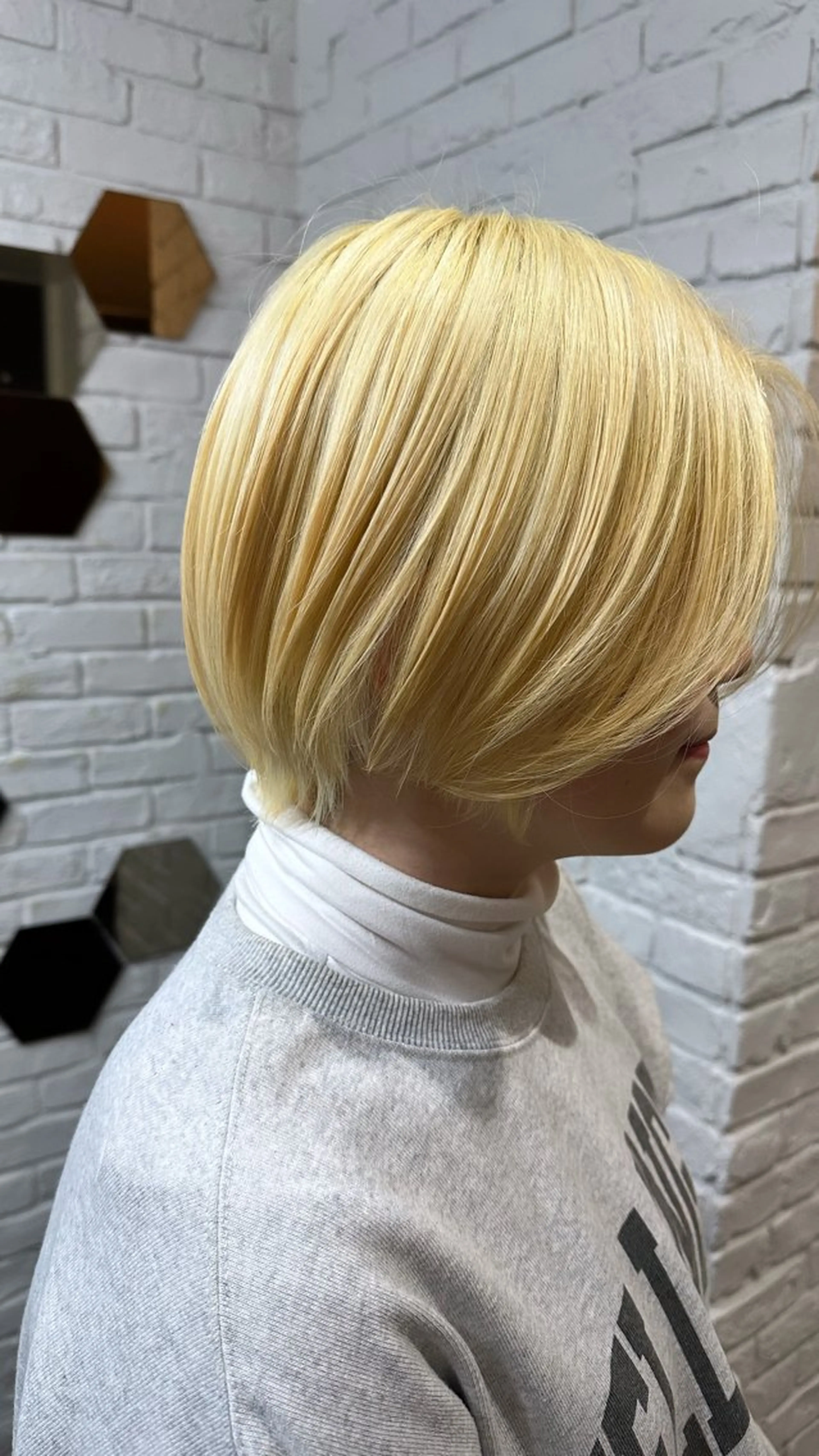 ショート カット 艶髪カラー/レイヤ ー支持No.1renのヘアスタイル