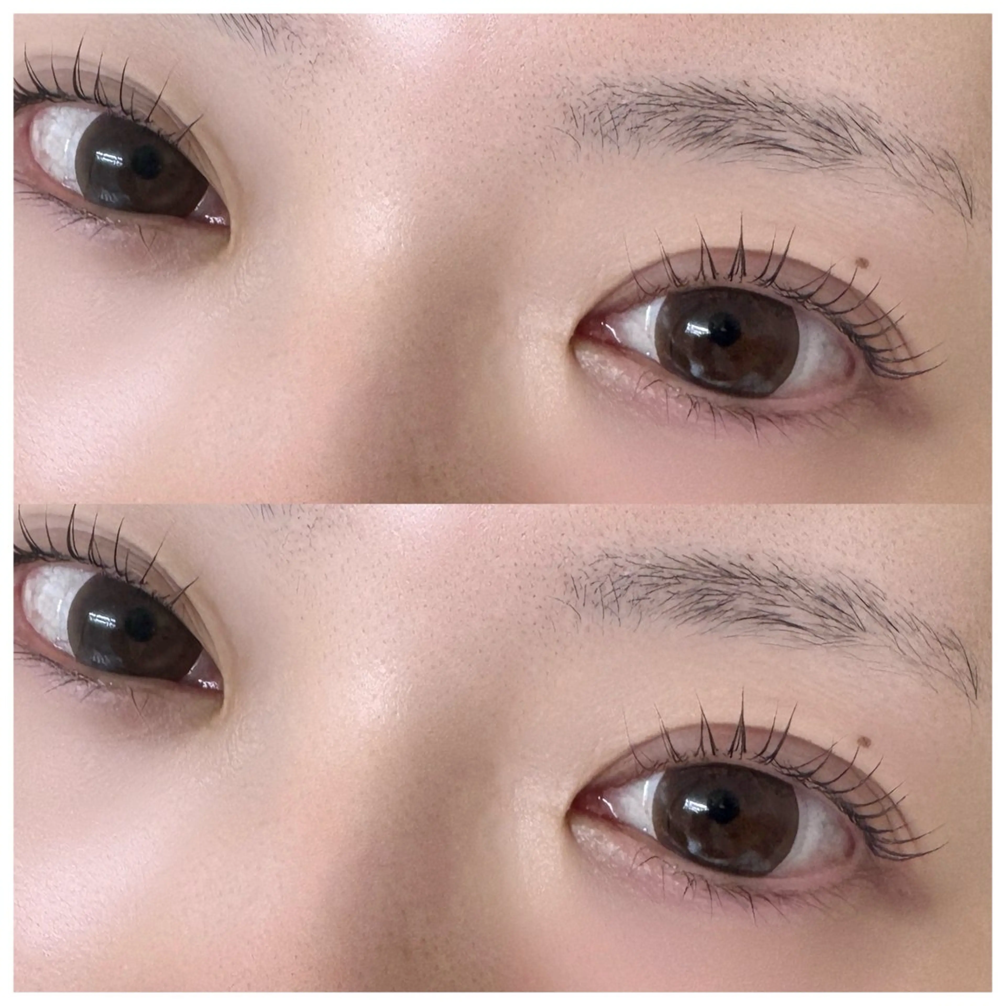 ご新規様限定🪽ྀིまつ毛パーマorパリジェンヌ🪽ྀིお好きな方をご選択頂けますの写真