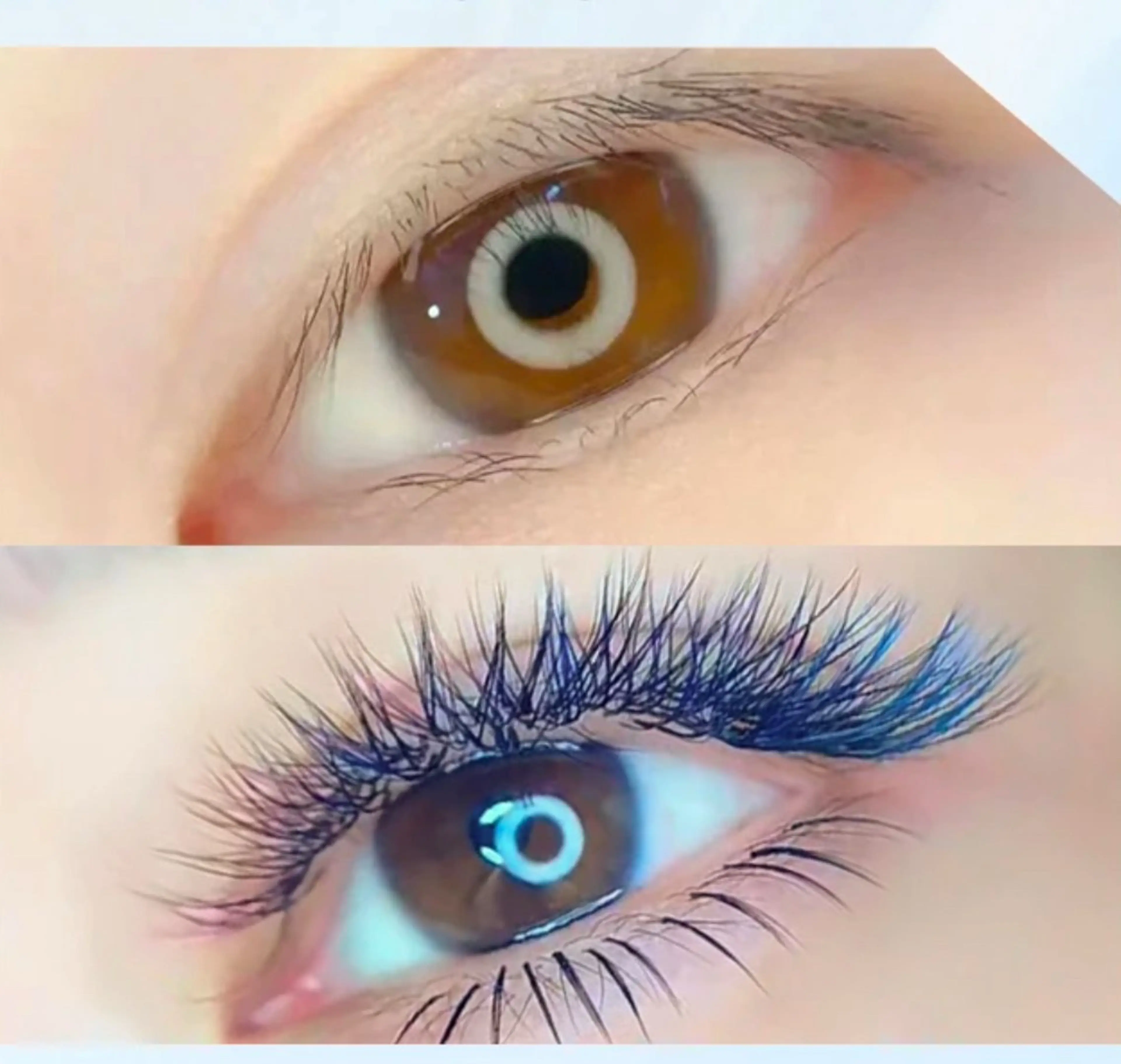 【ワンホンカラー】3D Wラッシュ、ブルー🩵、パープル🪻、ブラワン🐻120束¥7200/140束¥8300の写真