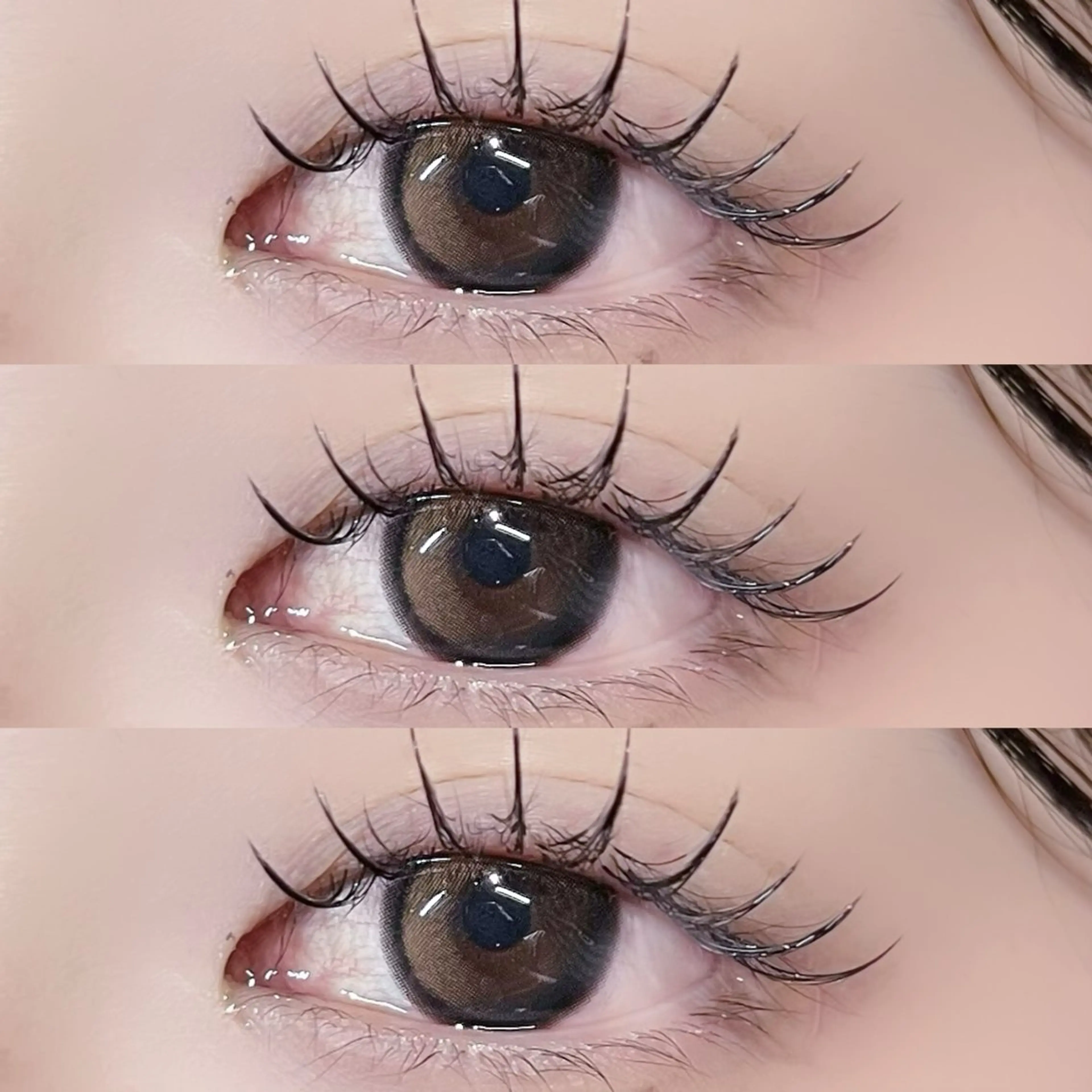 🎠平日限定🎠フラットラッシュ120本|束感コーティング付き🎡 ⸝⋆の写真