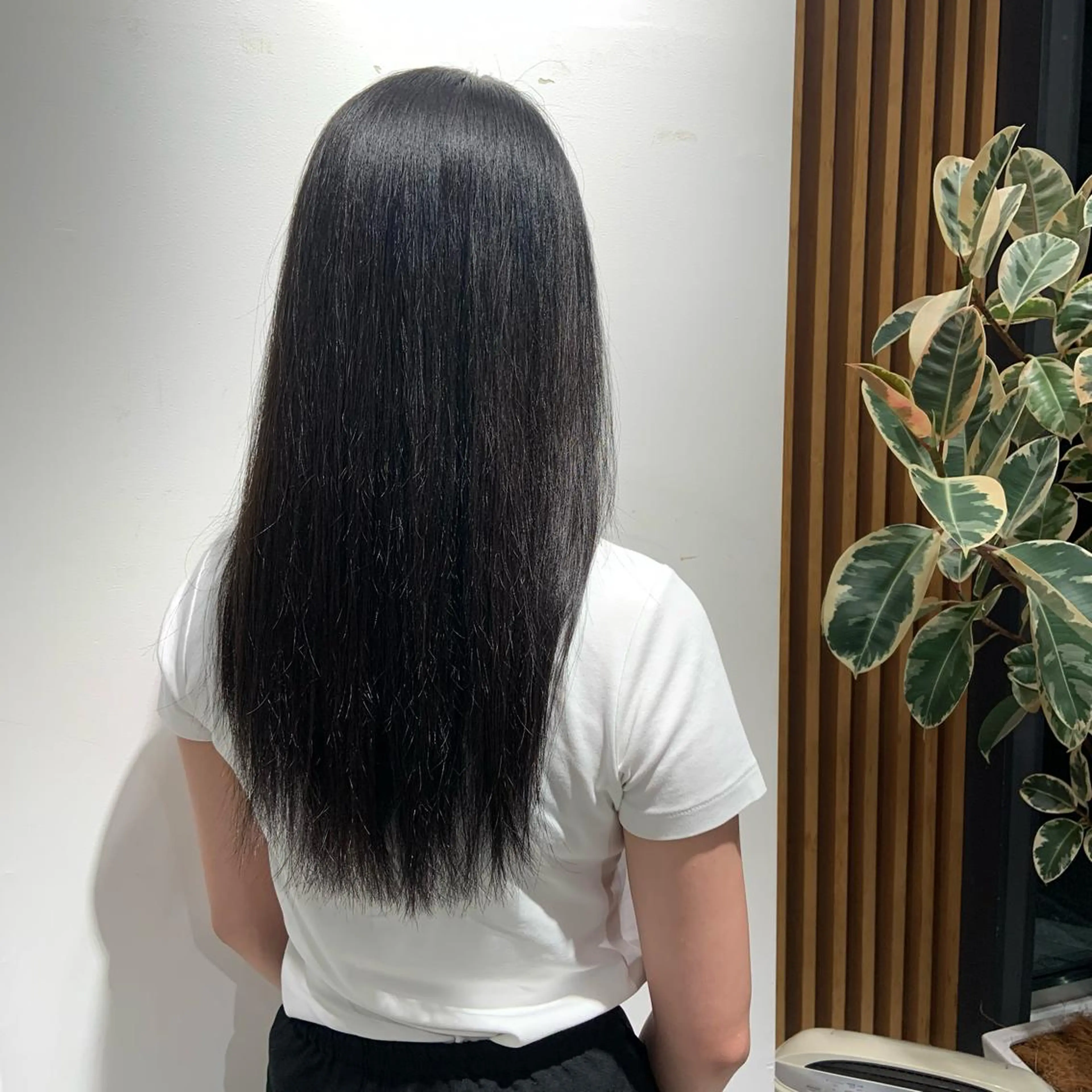 カラー air -GINZA tower所属・小潟 千尋のヘアスタイル