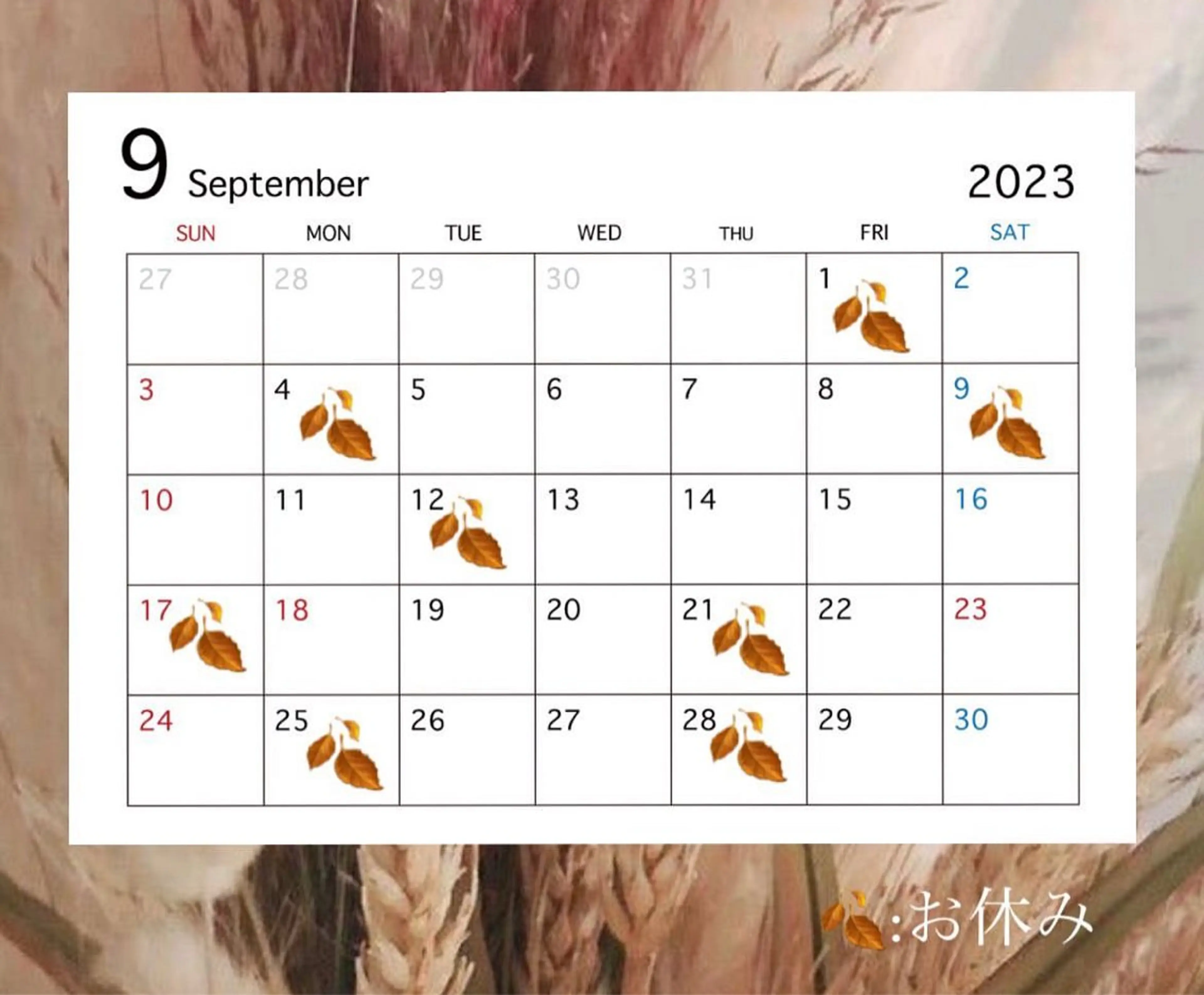 マツエク・マツパ UNPLAN maiのマツエク・マツパデザイン