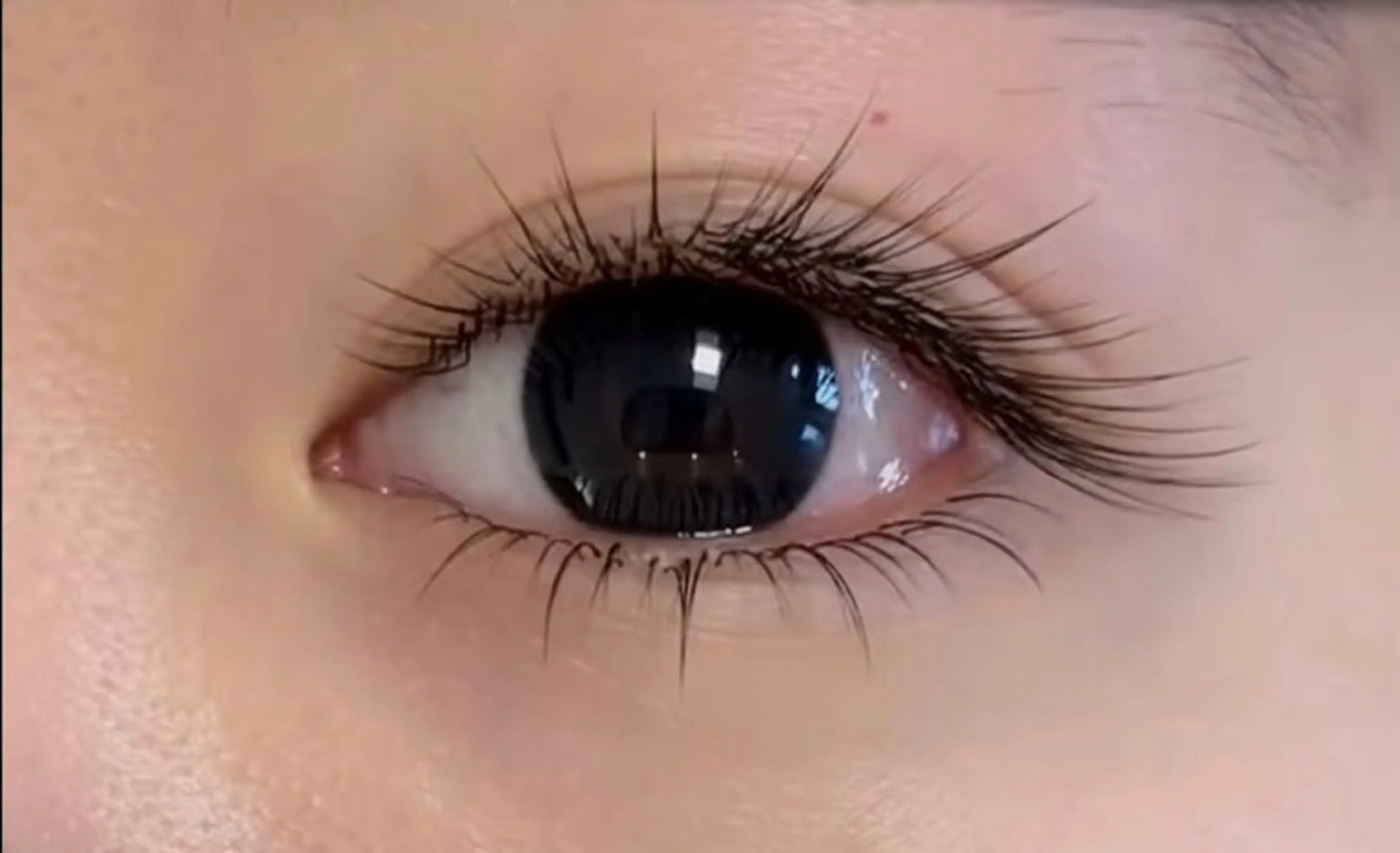 マツエク・マツパ MOMO モモのマツエク・マツパデザイン