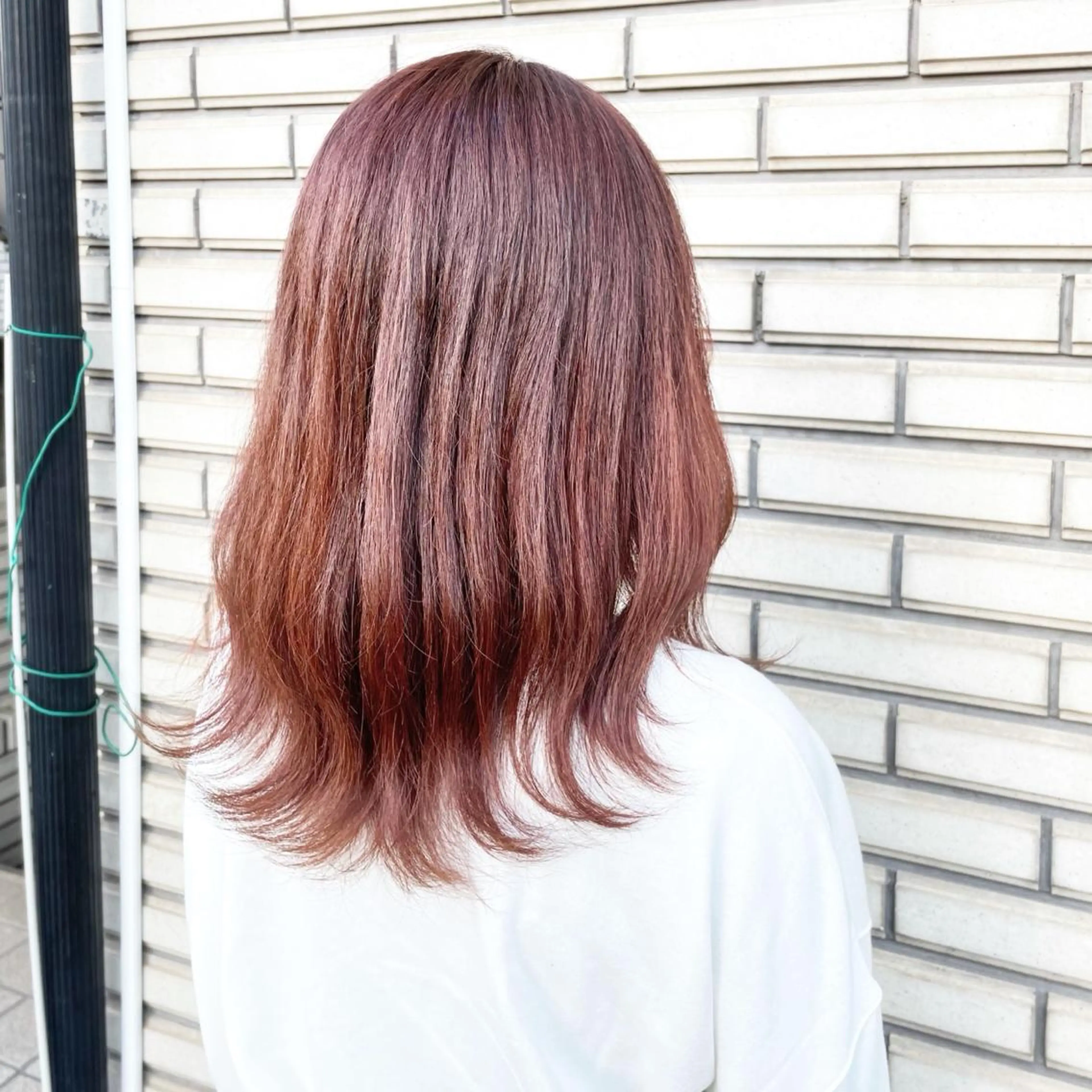 ミディアム カラー ブラウンカラー カシス 外ハネヘア 🦋韓国系指名No1 店長/圓山 祐也🦋のヘアスタイル