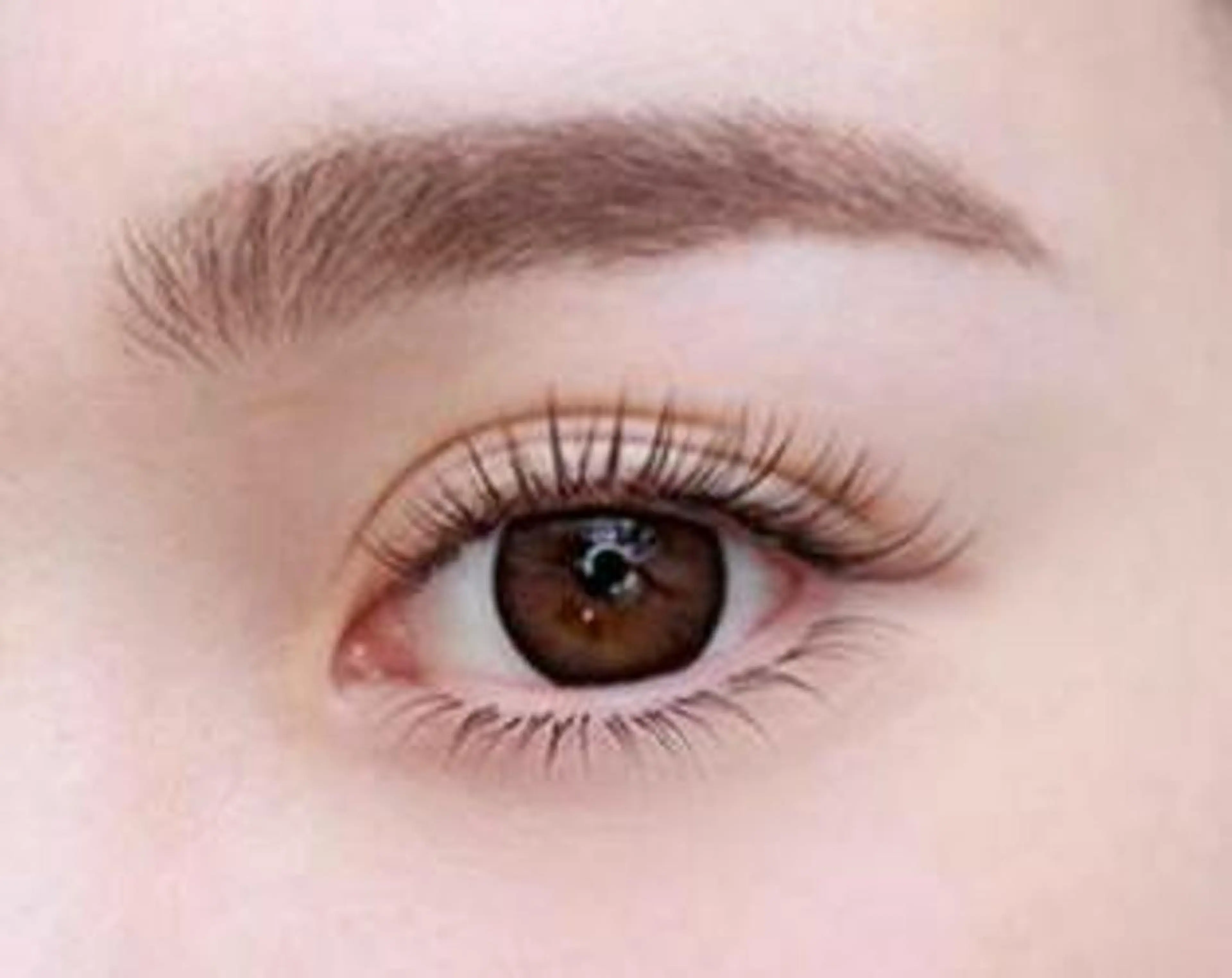 🌼ミニモ限定🌼フラットラッシュ上下1時間つけ放題✨ご新規様+550円❇土日+550円の写真