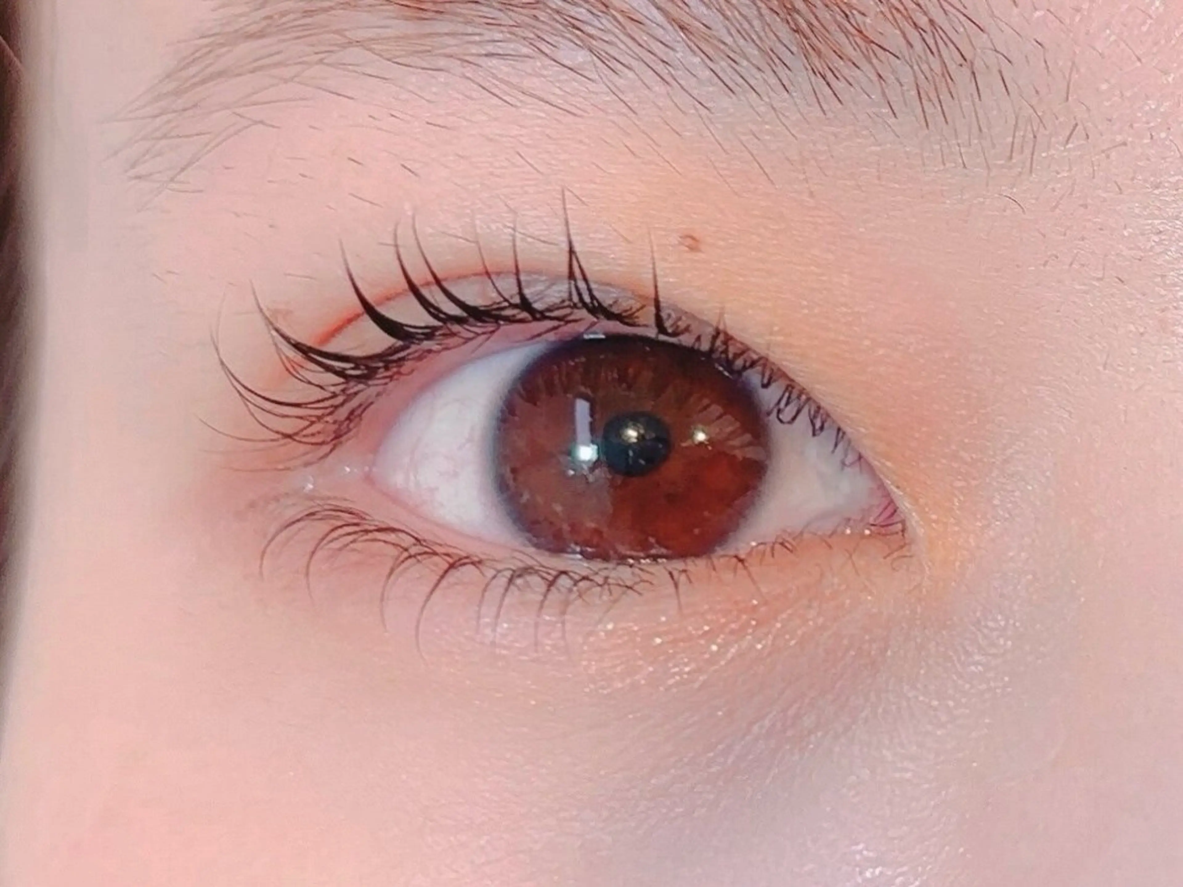 上まつげパーマ＋下パリジェンヌ♥ 9,600円→5,000円♥の写真