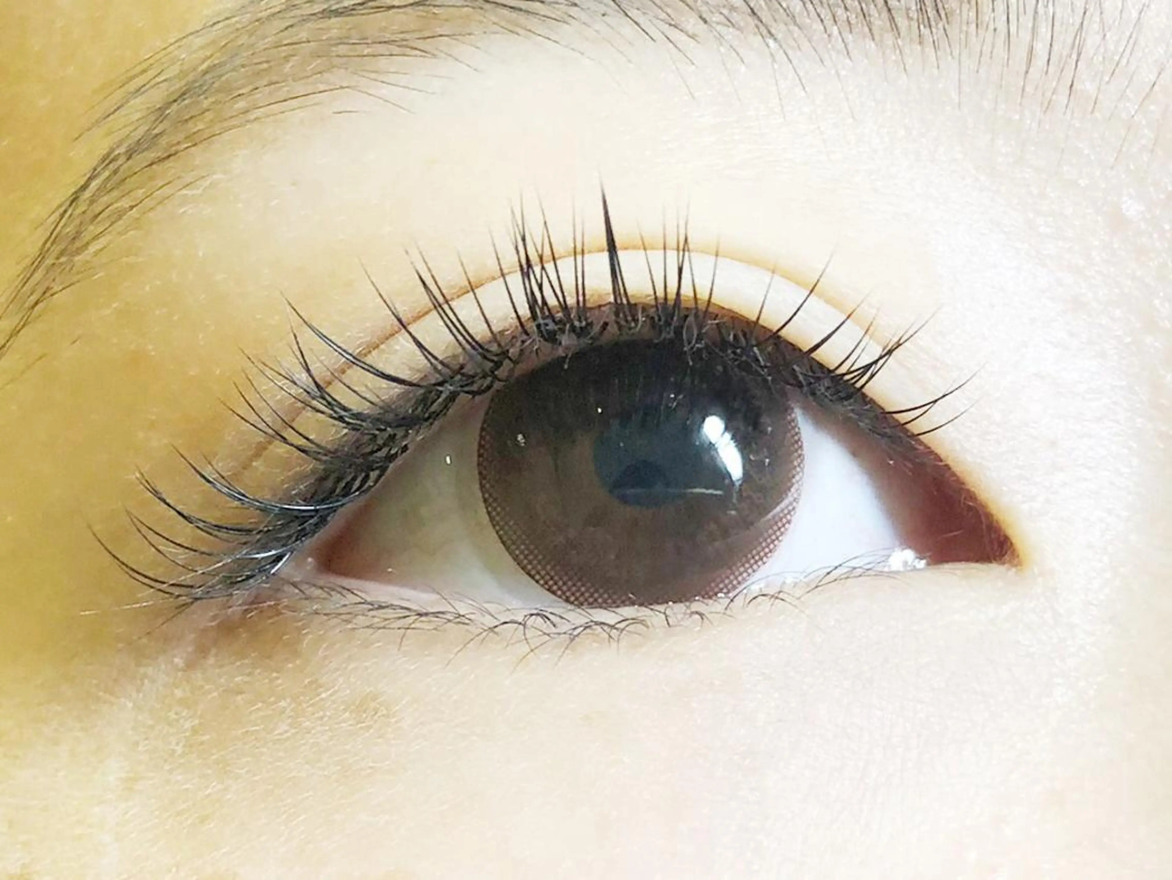 マツエク・マツパ キュート セーブル EYEMAJIC Pure★高見の眉毛・アイブロウイメージ