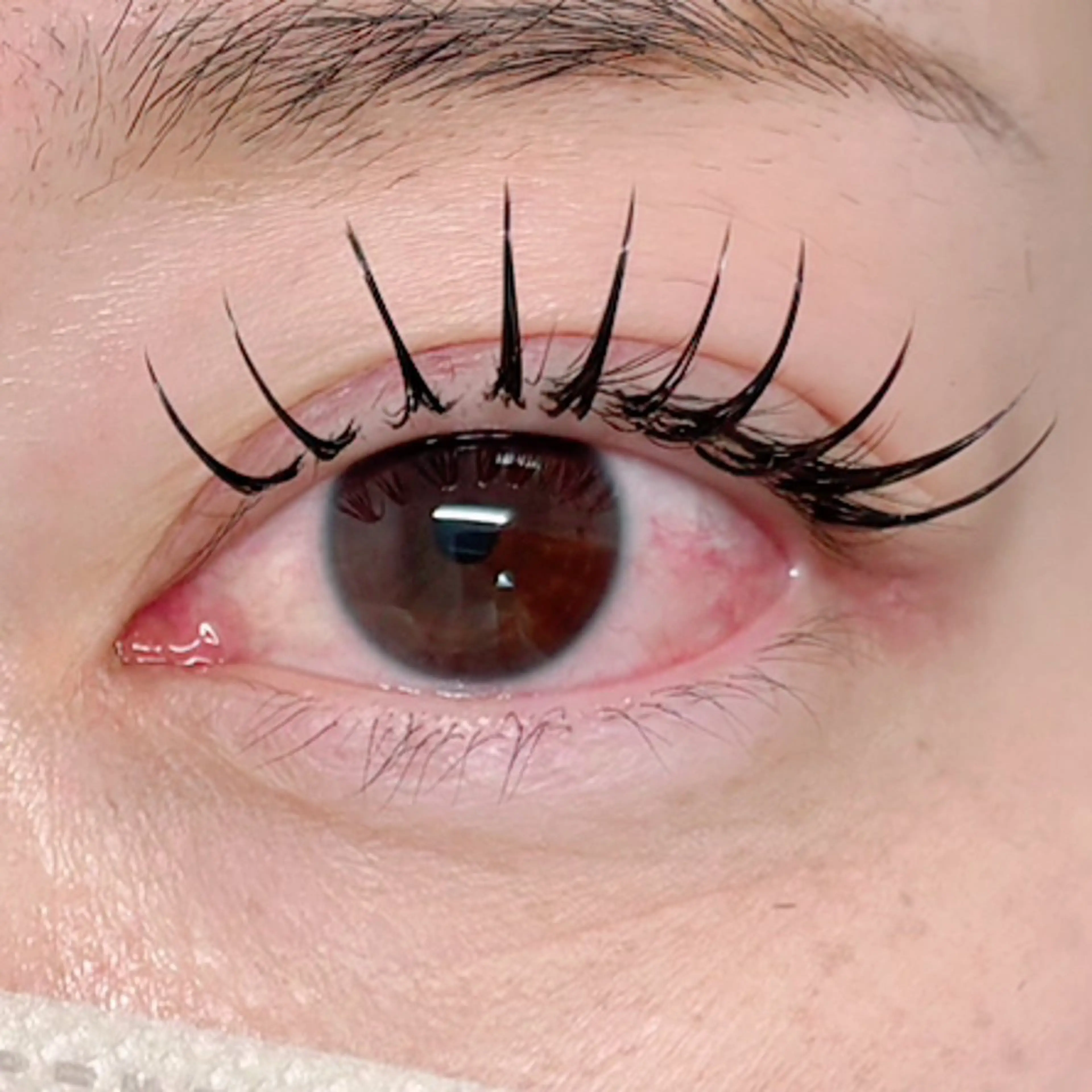 マツエク・マツパ ひがし 🐰🤍のマツエク・マツパデザイン