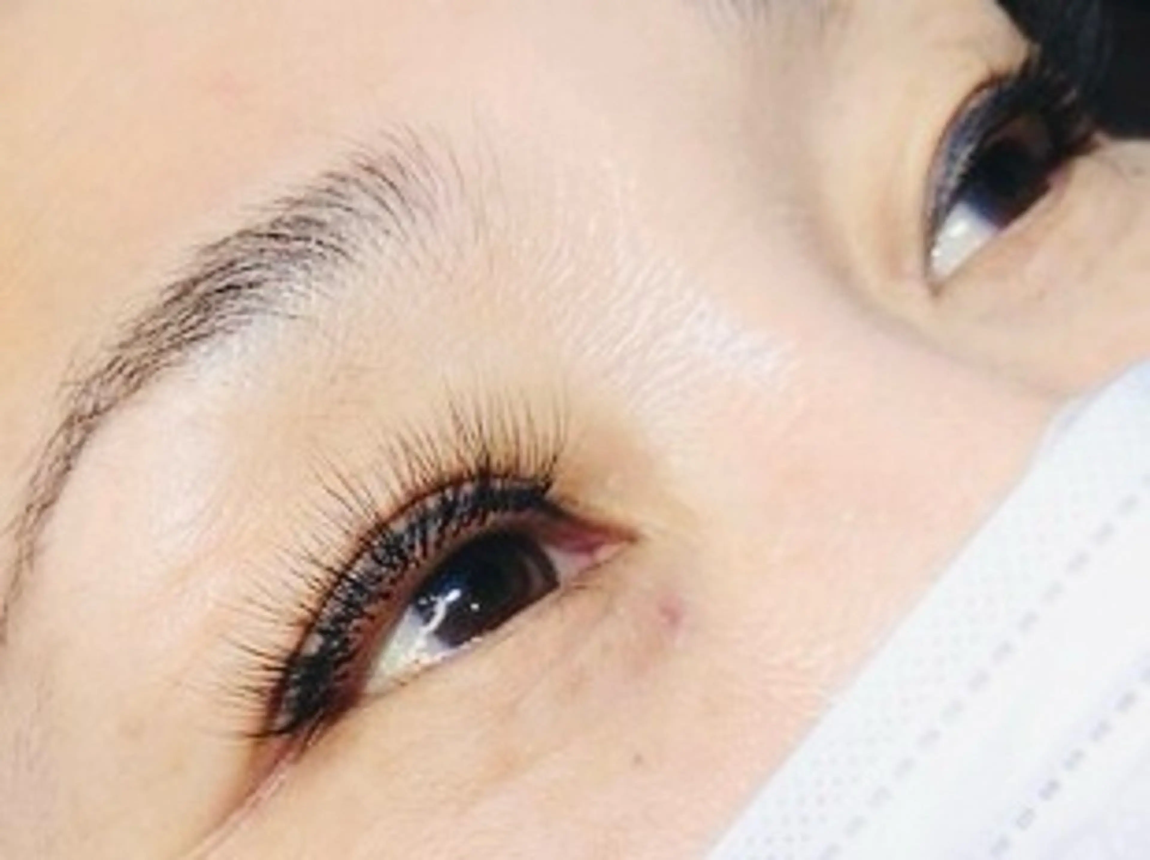 ボリュームラッシュ3D 100束まで(オフ込み)の写真