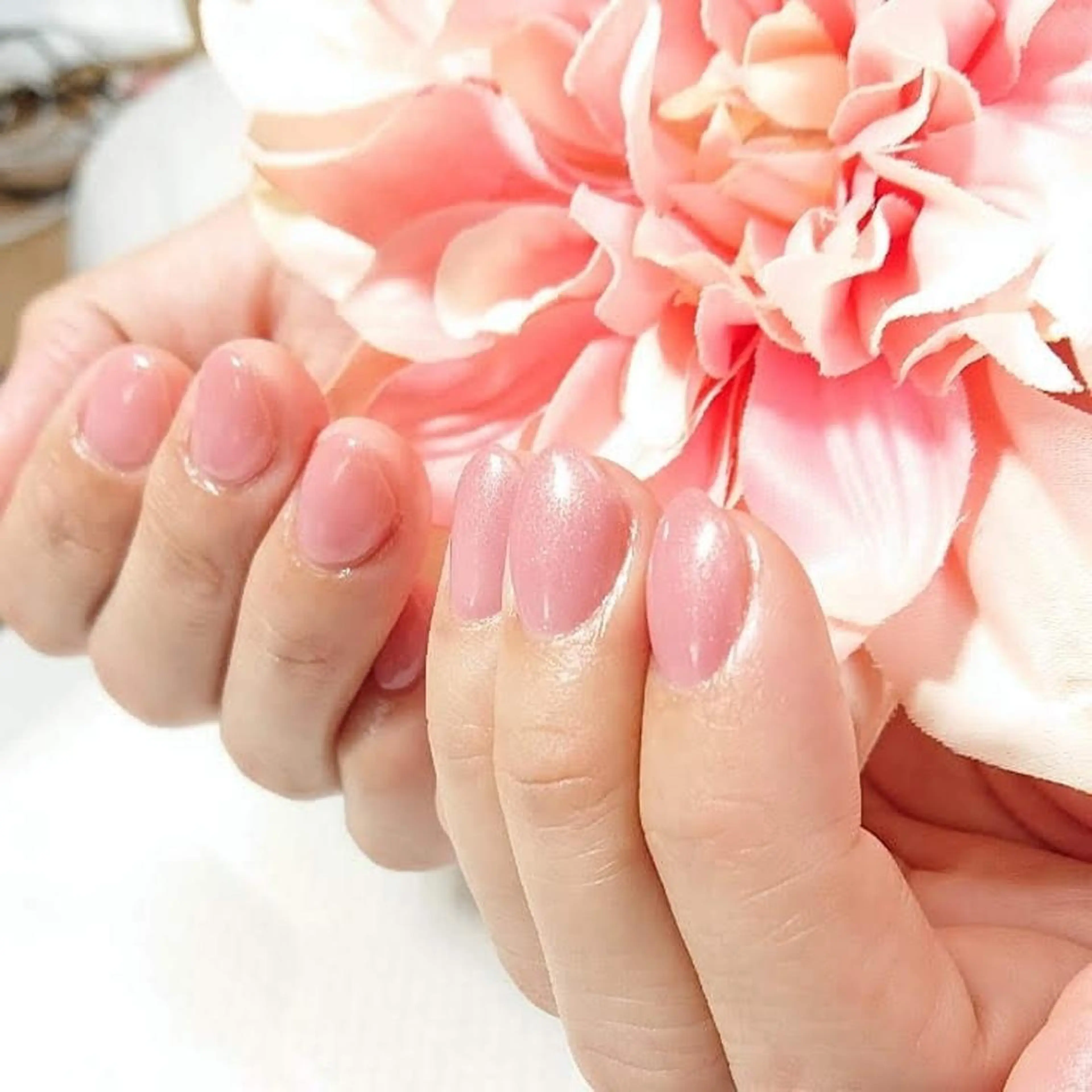 ネイル ワンカラーネイル KOYAMA KIMIEのネイルデザイン