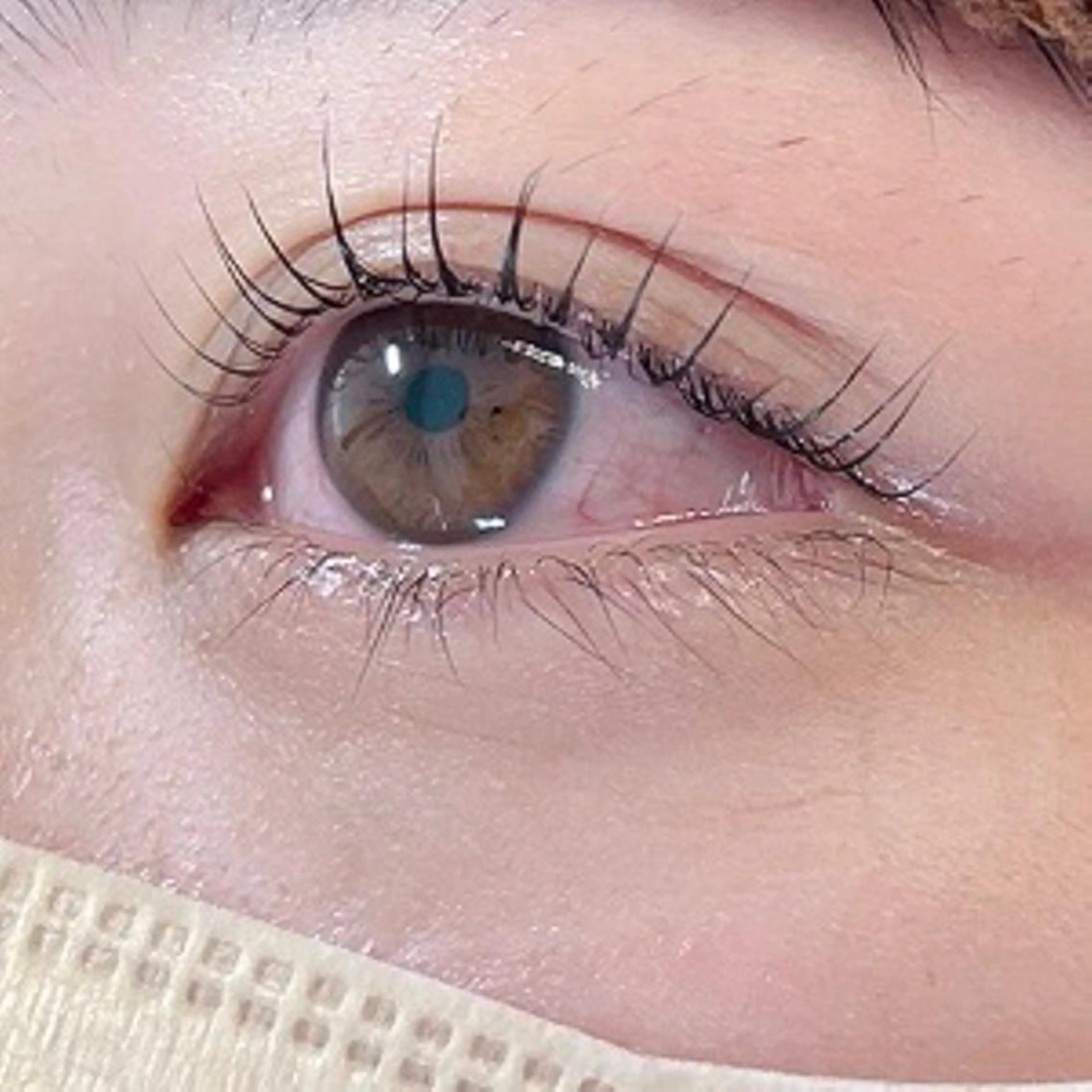 12月ご新規様限定🌈120本(オフ別途500円)の写真