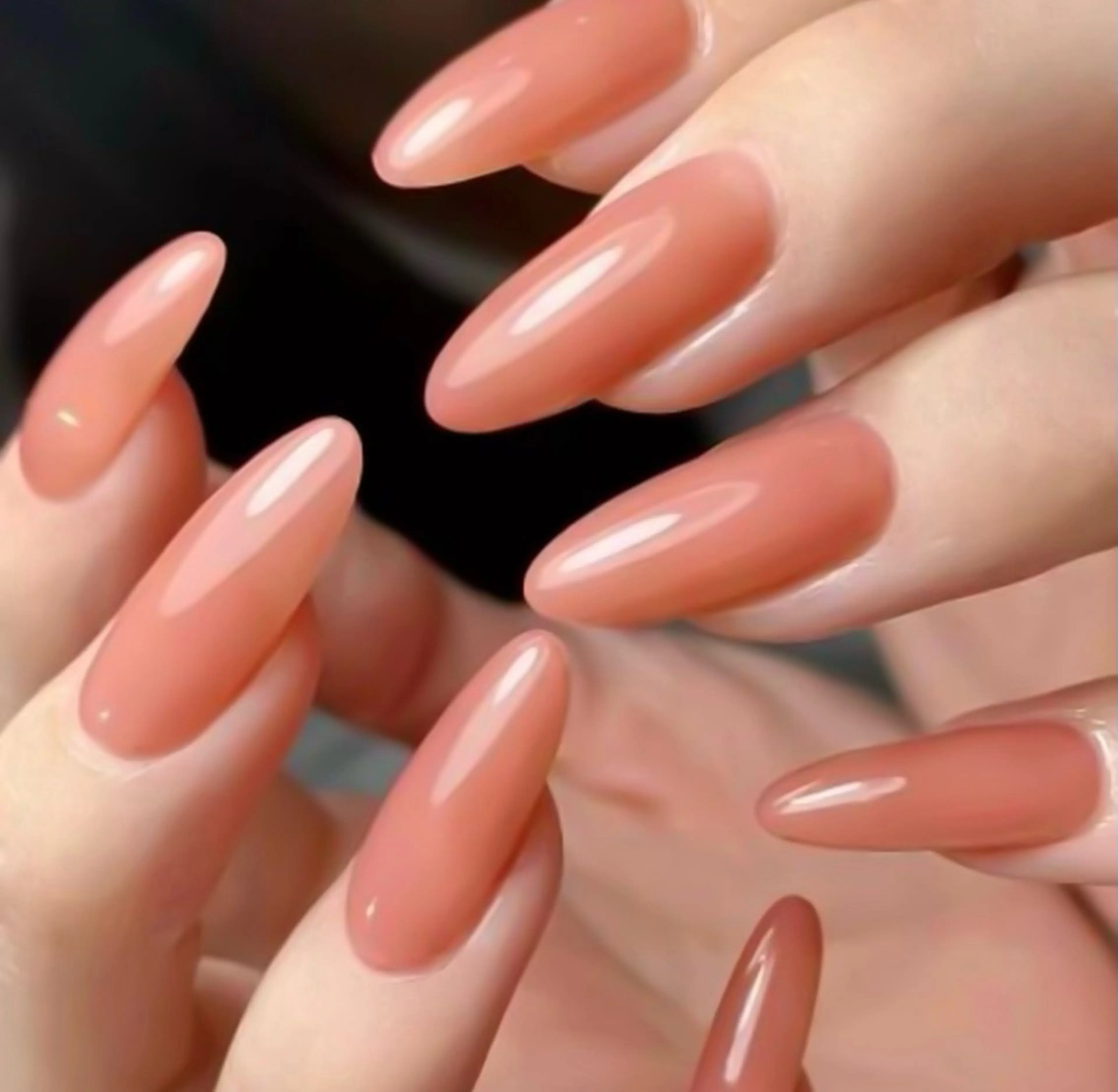 マオジェルワンカラーの写真