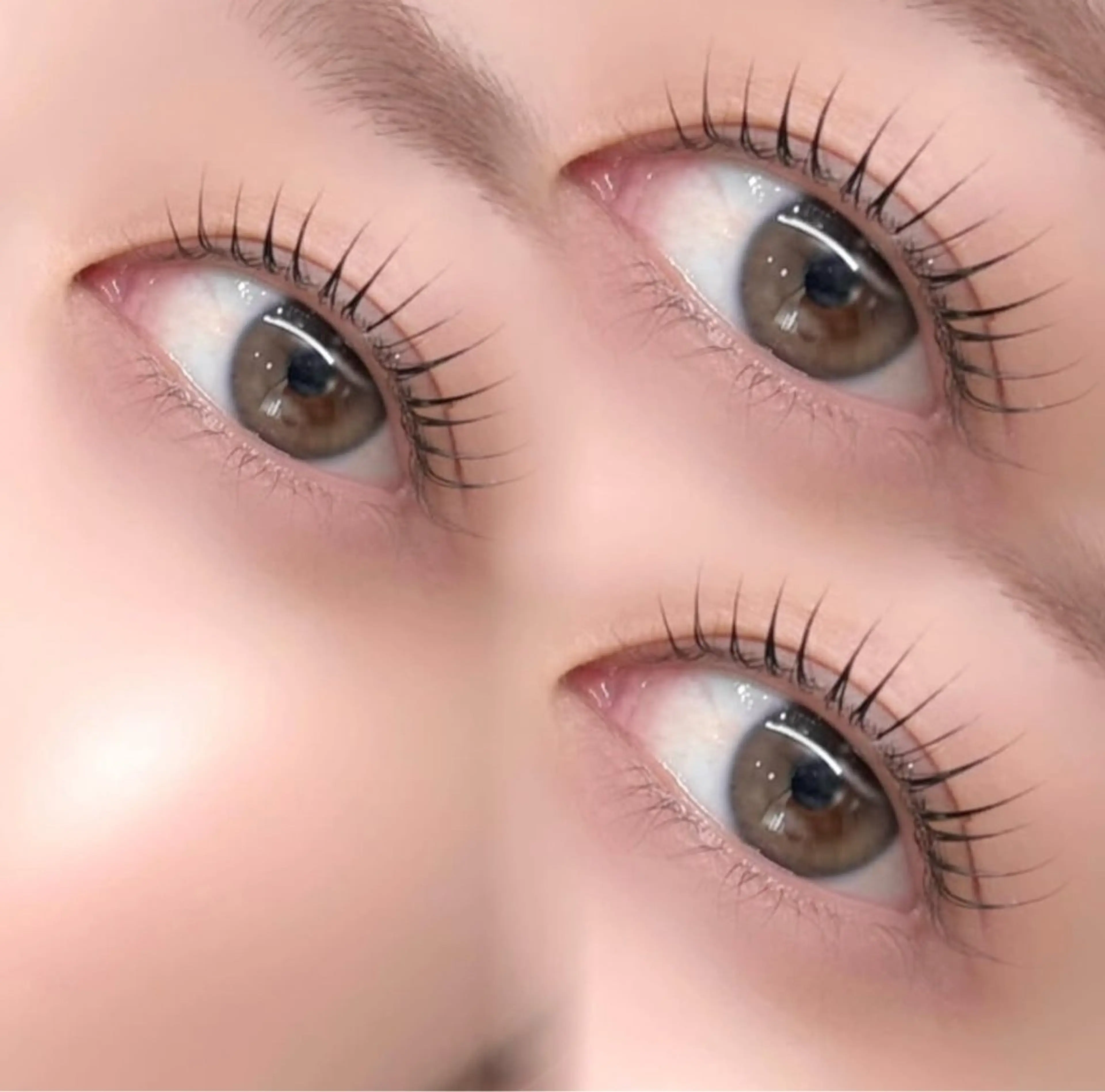 【ミニモ限定！！】"パリジェンヌラッシュリフト"🫧アイシャンプー＆コーティング付き🎀の写真