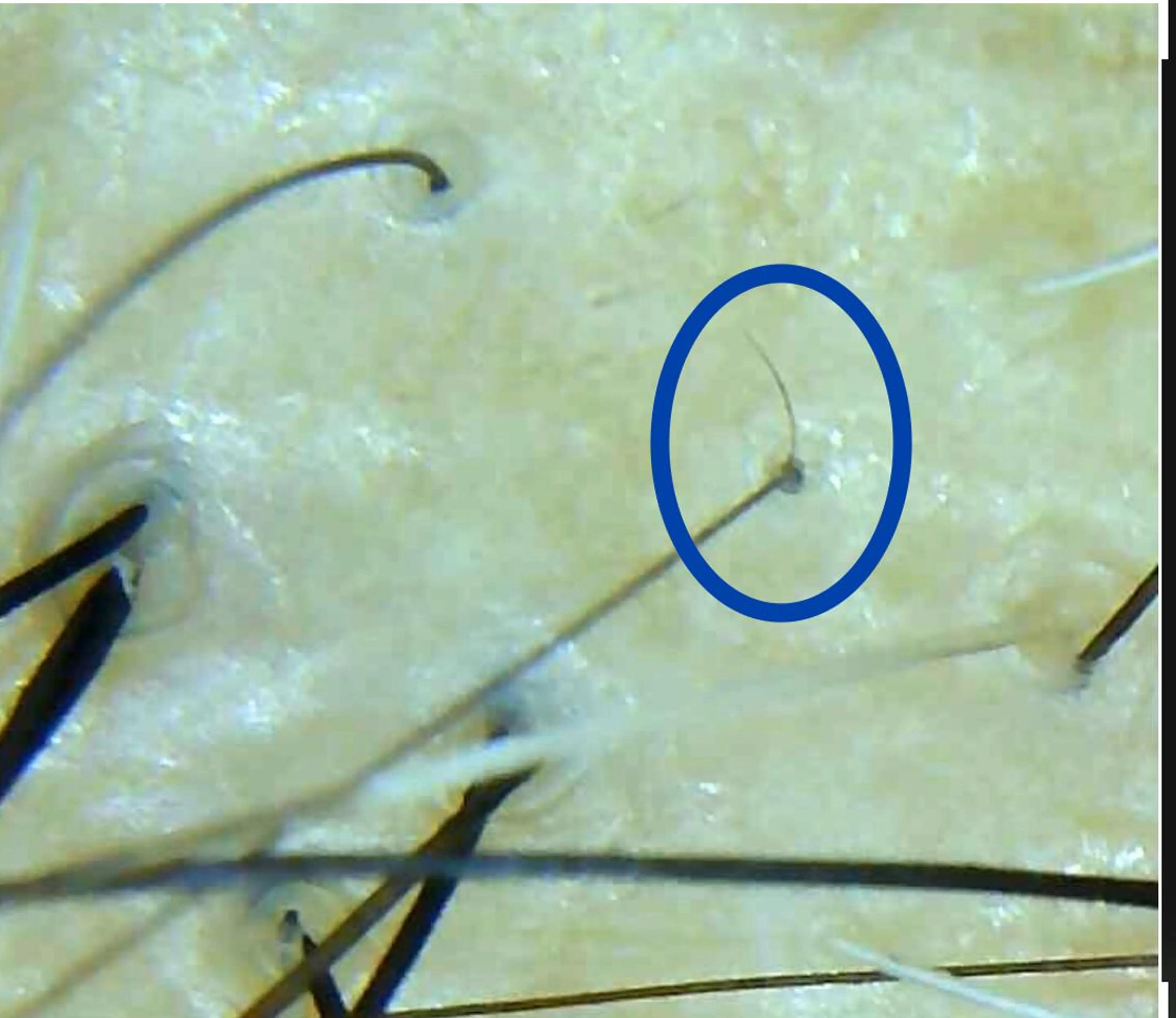 その他 セントラル鍼灸院 Re:laxyのエステ・リラクイメージ