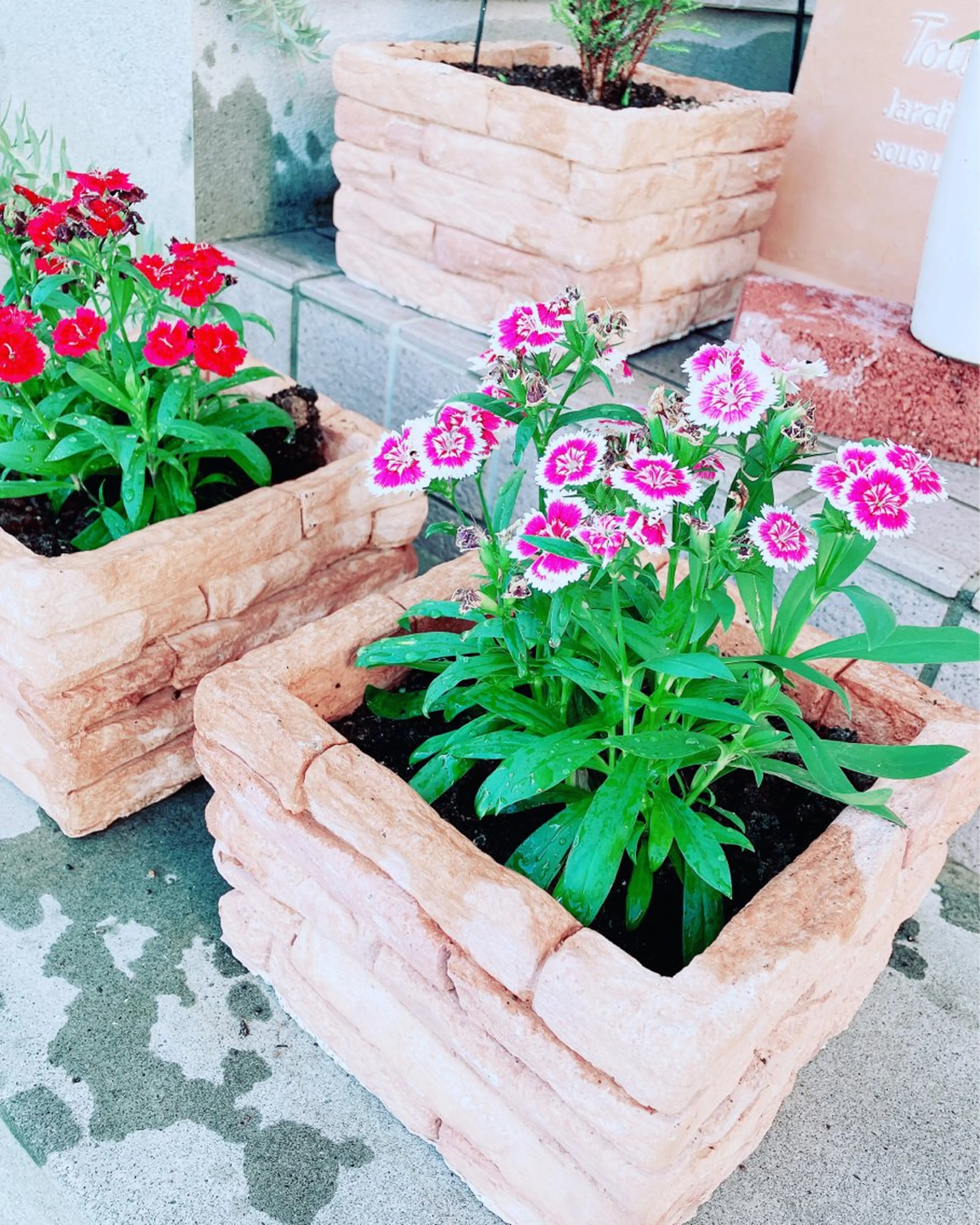 メナード熊本 嘉島のエステ・リラクイメージ