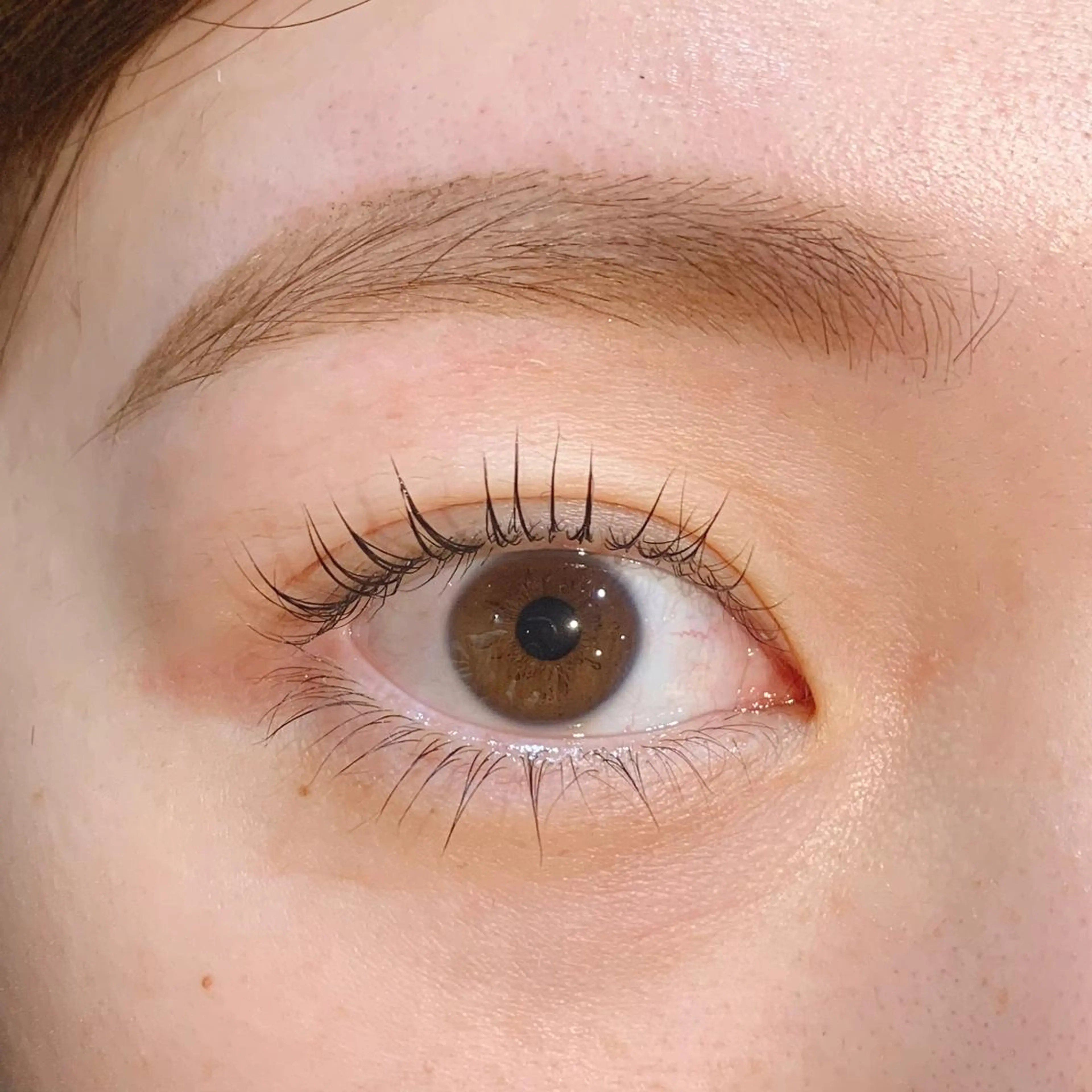 【minimo特別価格】🦄まつ毛パーマ上下➕アイブロウWAX脱毛🦄パリジェンヌへの変更＋500円の写真