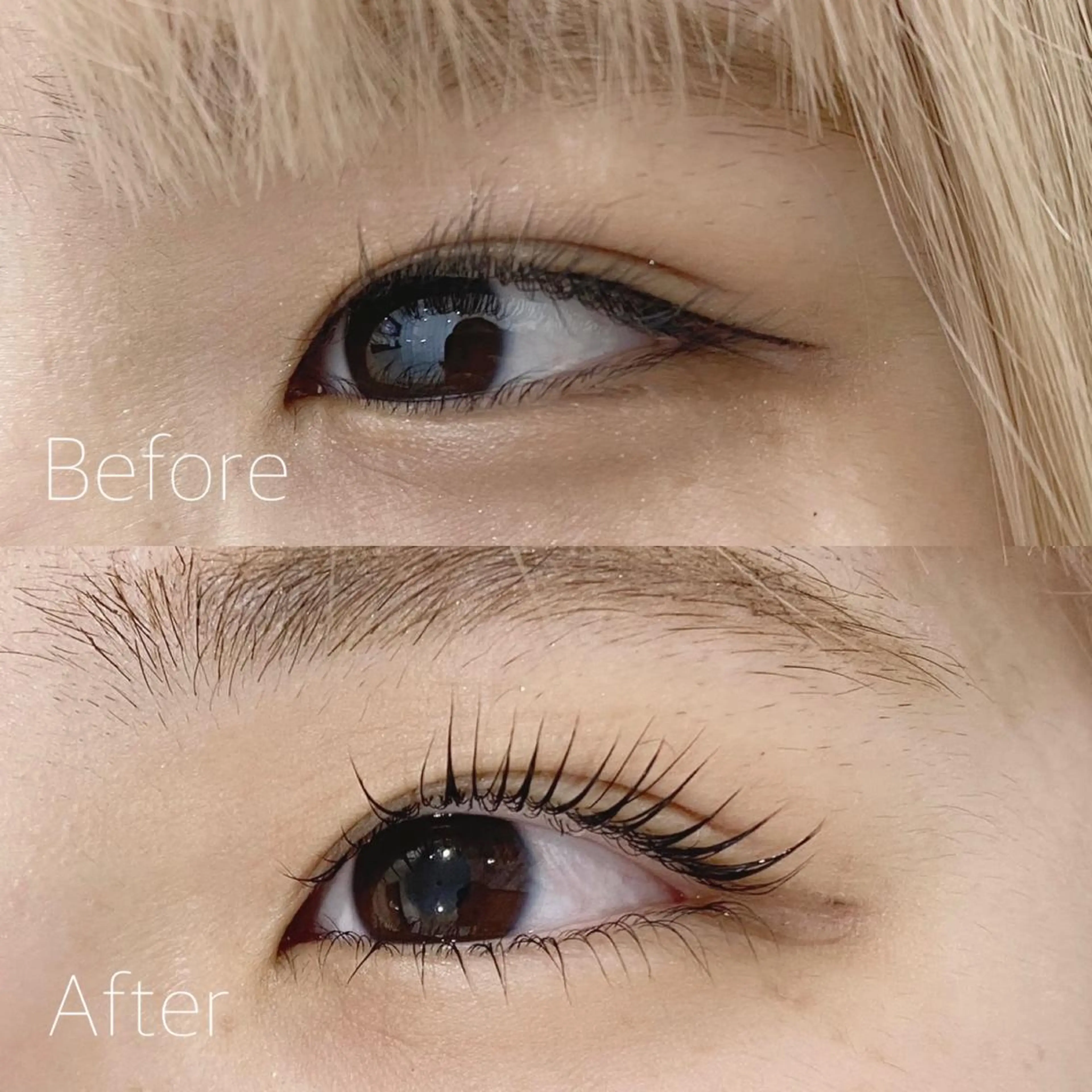 まつ毛パーマ[上下]の写真