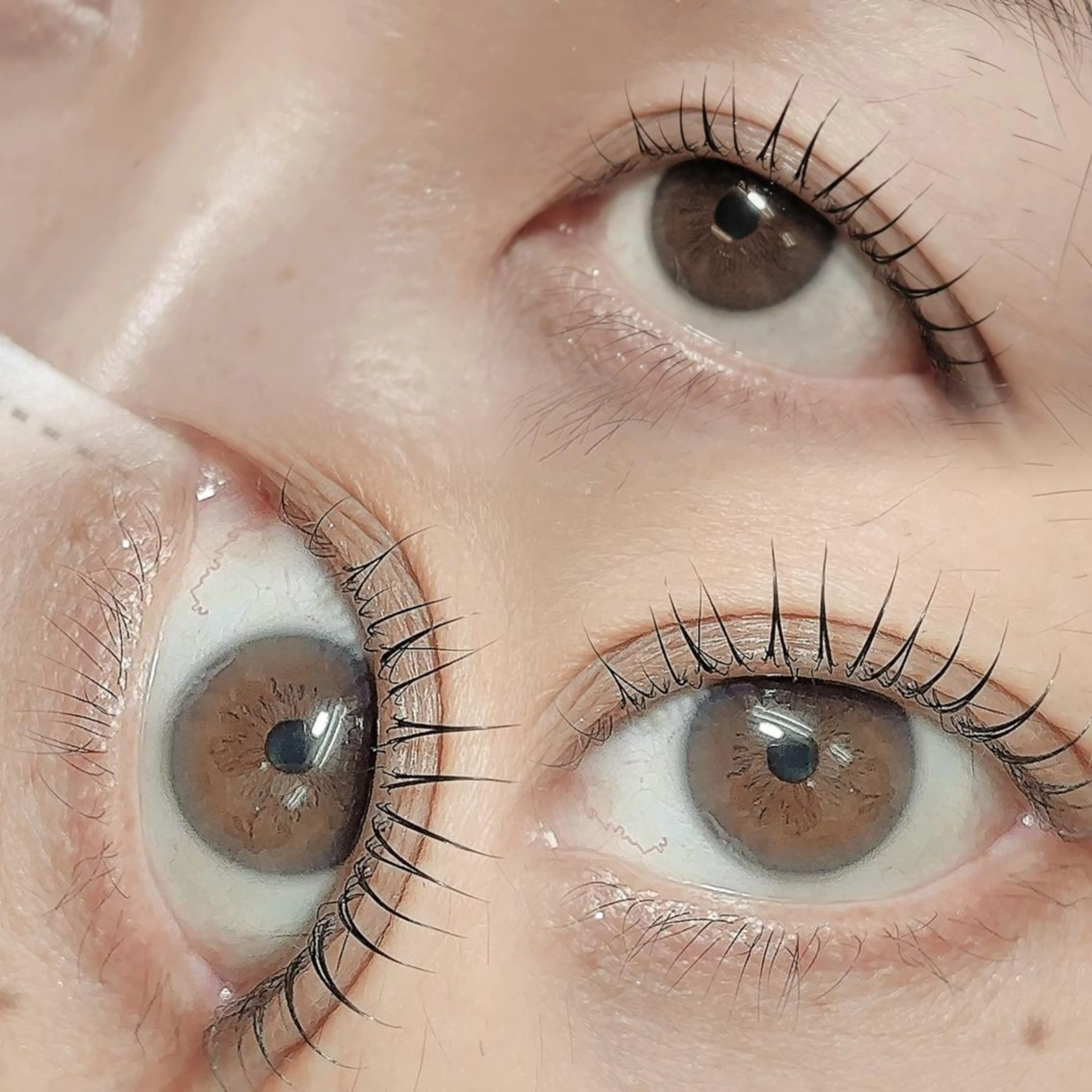 マツエク・マツパ 三茶🩰パリジェンヌ /まつパ🫧あやみの眉毛・アイブロウイメージ