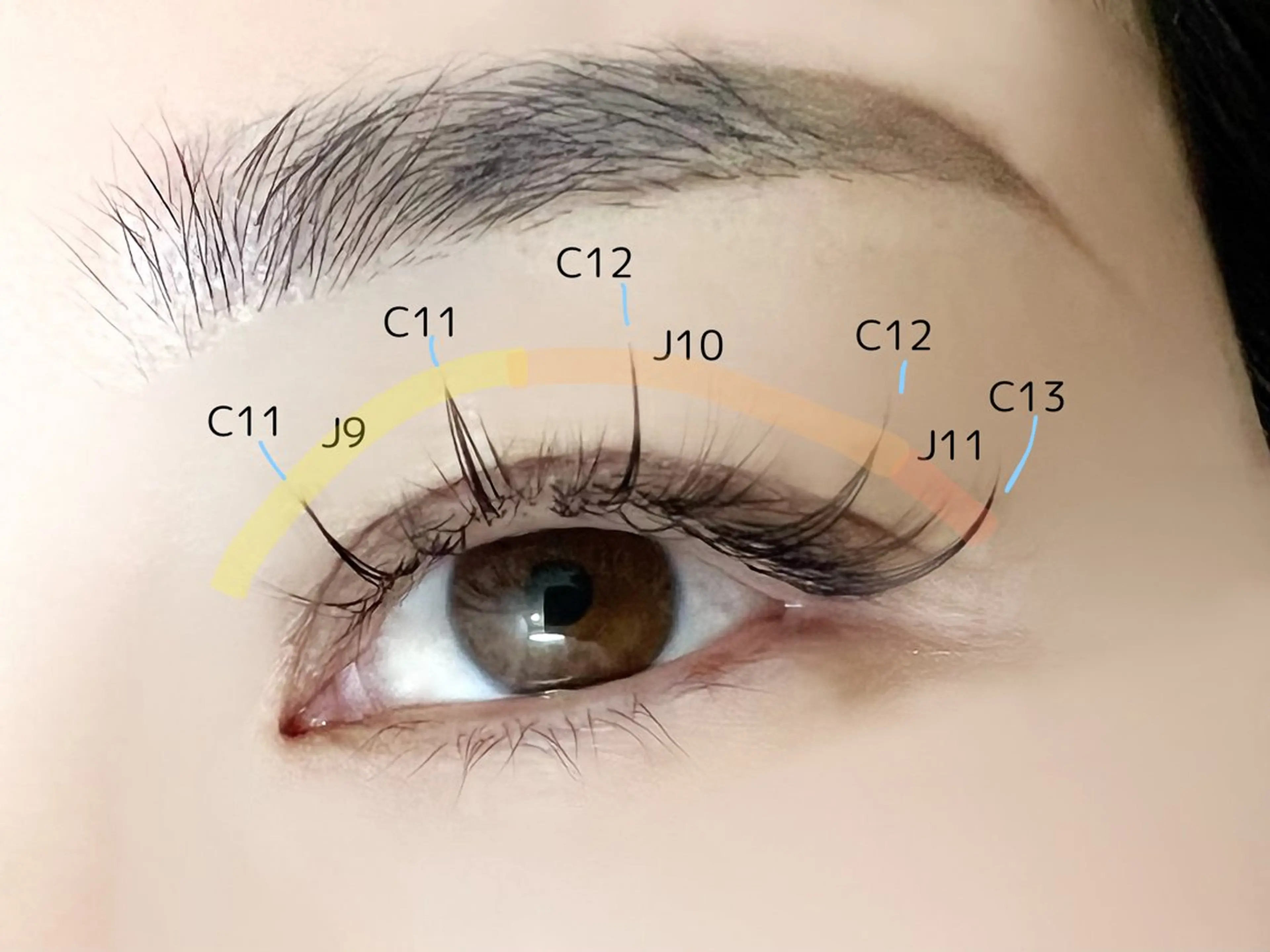 マツエク・マツパ フラットラッシュ ボリュームラッシュ PROSOLrita 西風新都のマツエク・マツパデザイン